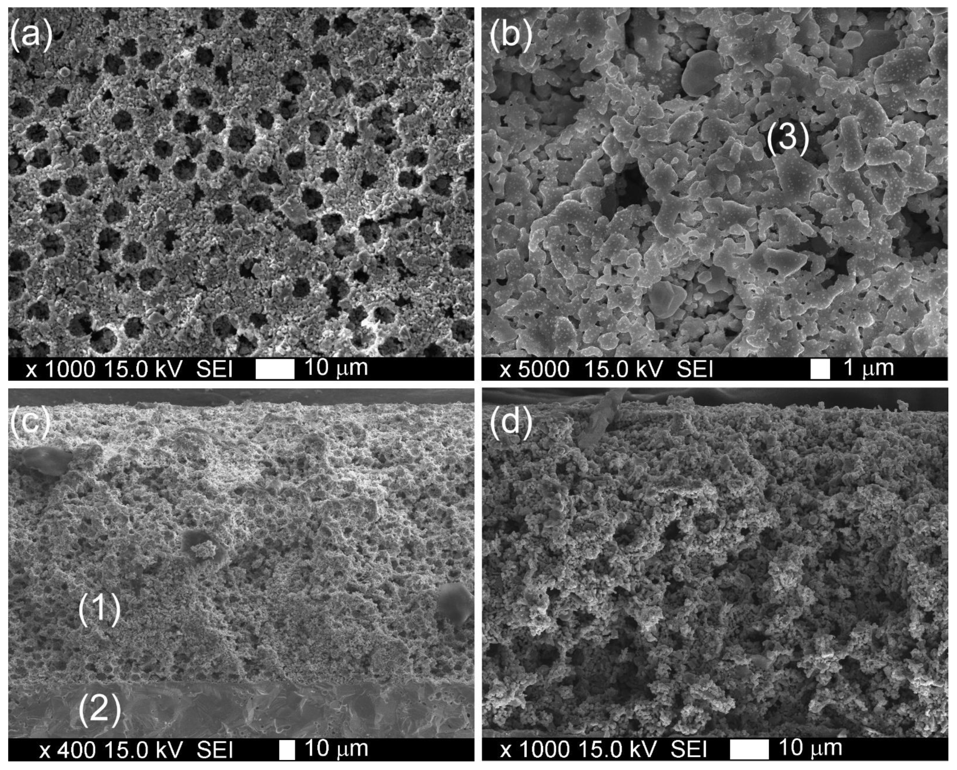 Materials 15 00642 g004