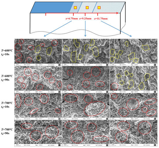 A Concise Binomial Model for Nonlinear Creep-Fatigue Crack