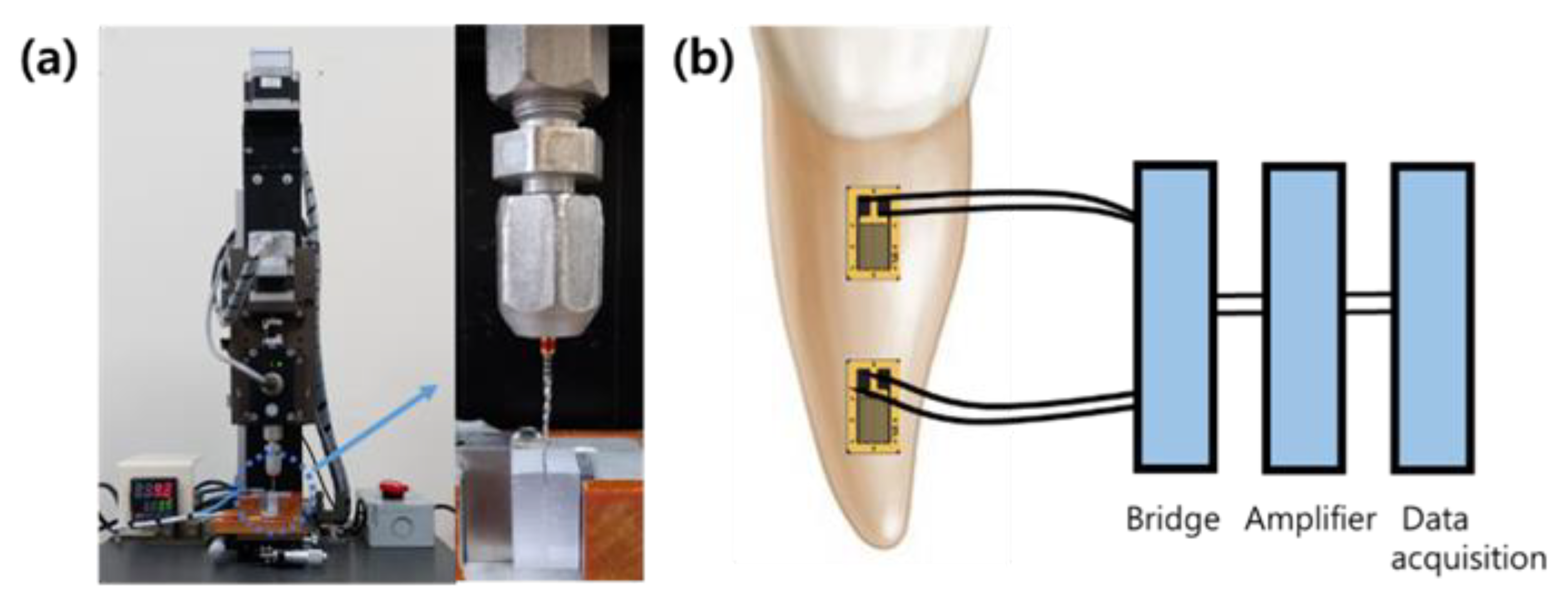 Materials 15 00664 g001