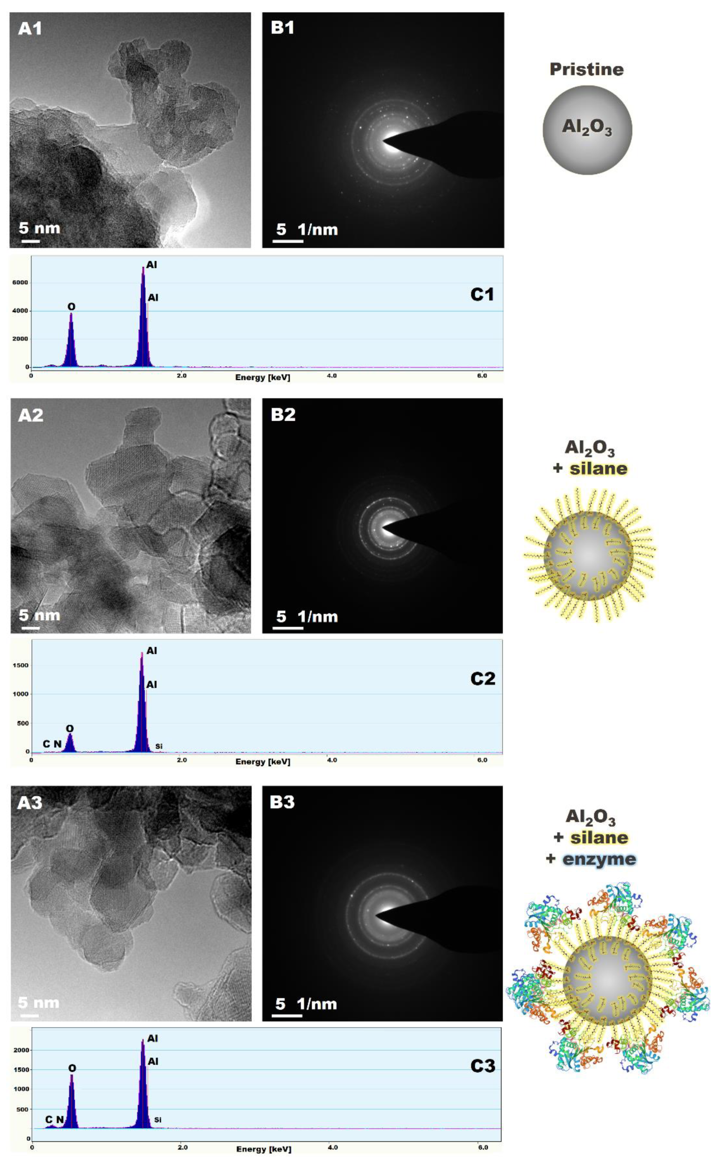 Materials 15 00671 g003