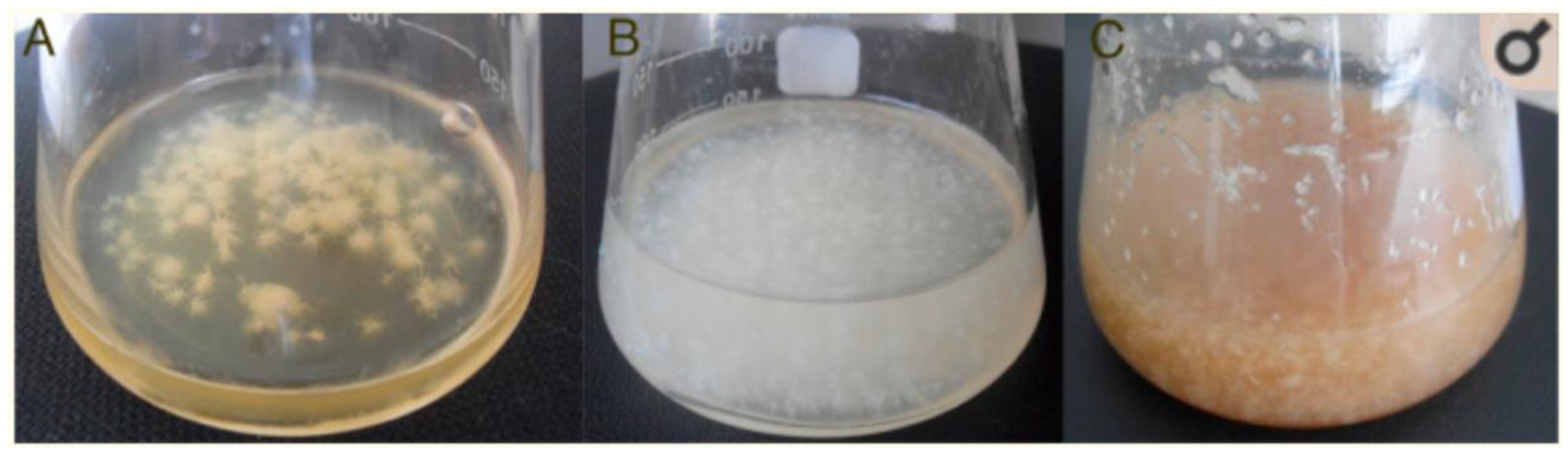 Materials 15 00676 g004 550