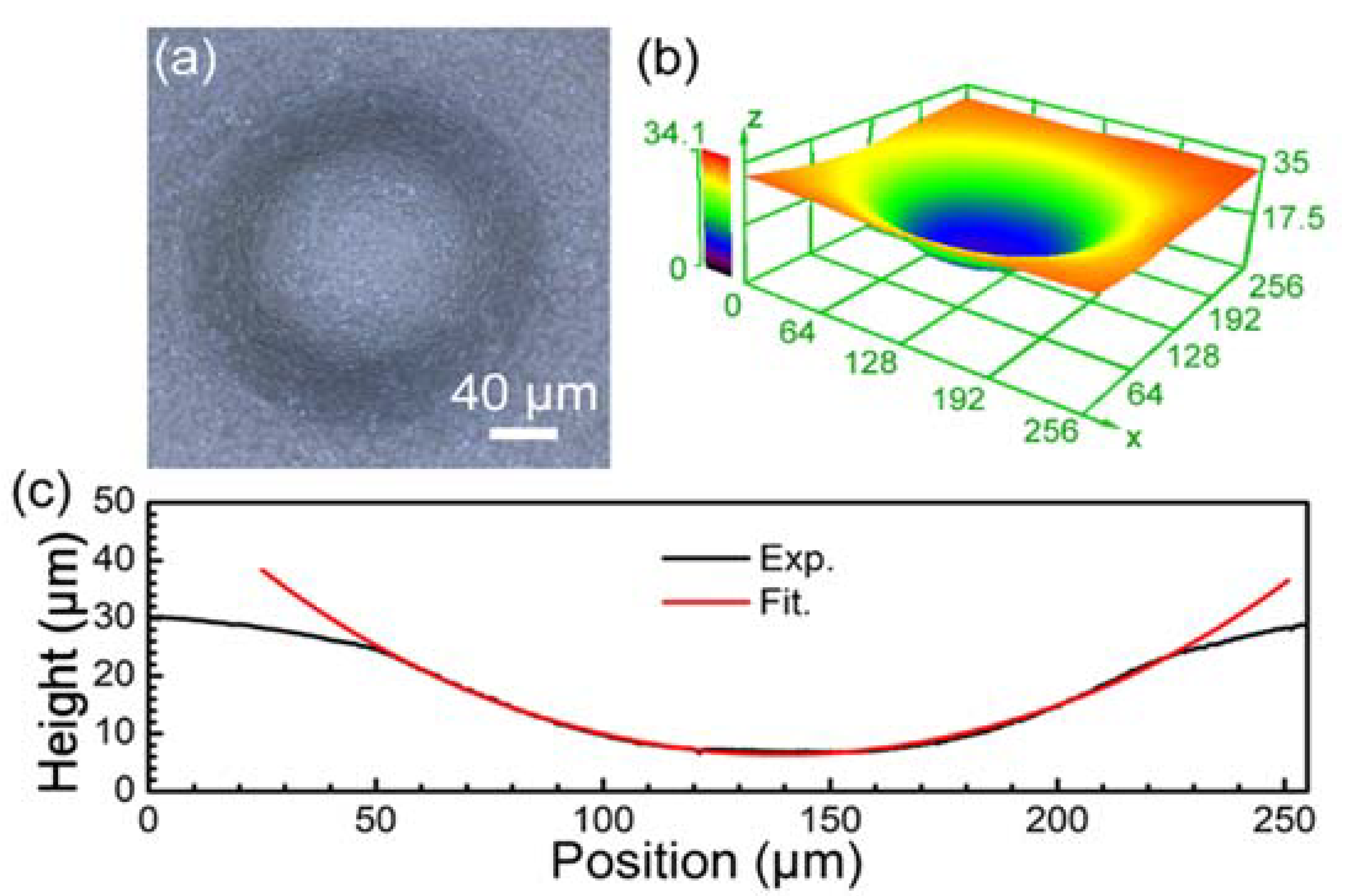 Materials 15 00678 g005