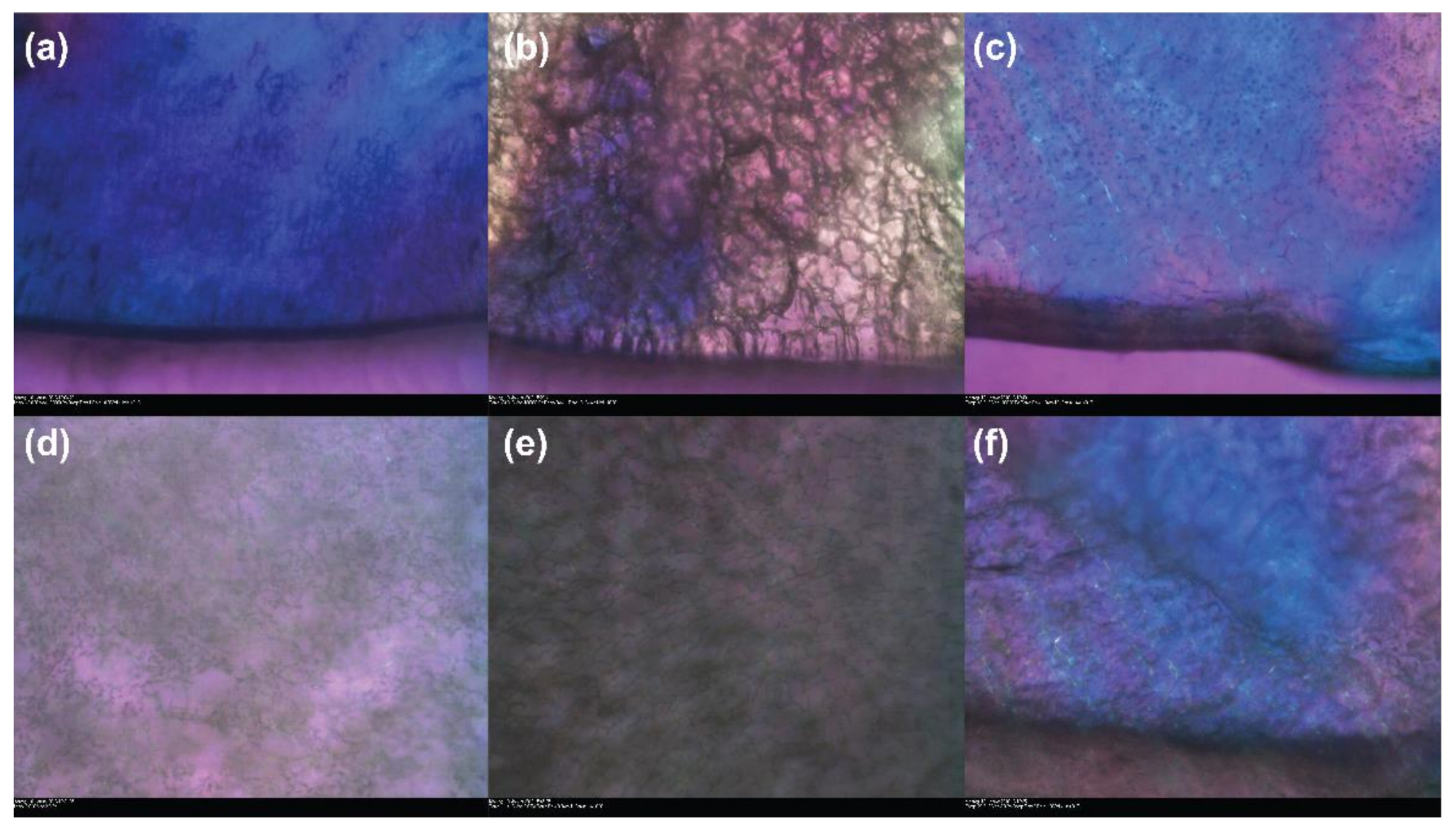 Materials 15 00681 g001