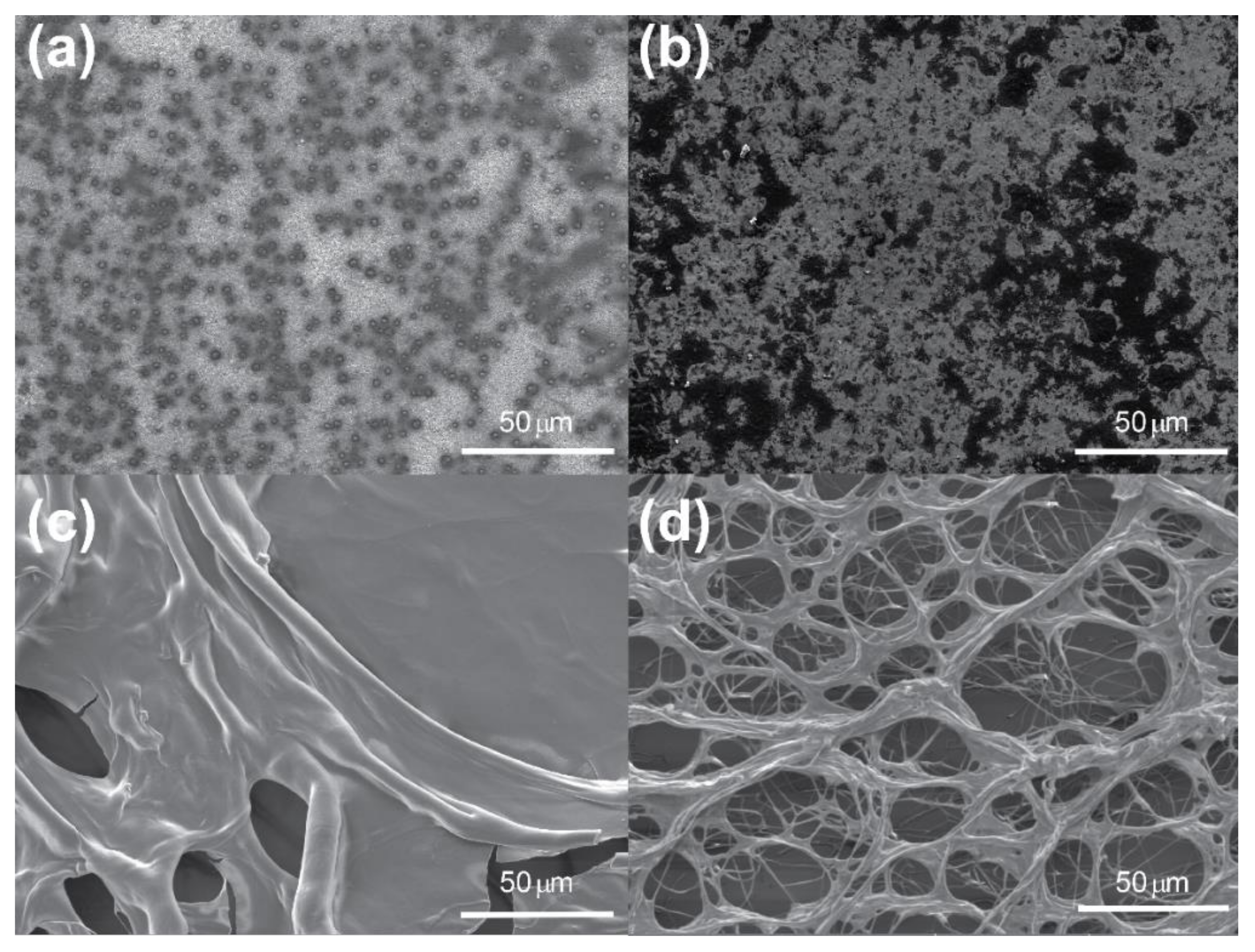 Materials 15 00681 g007