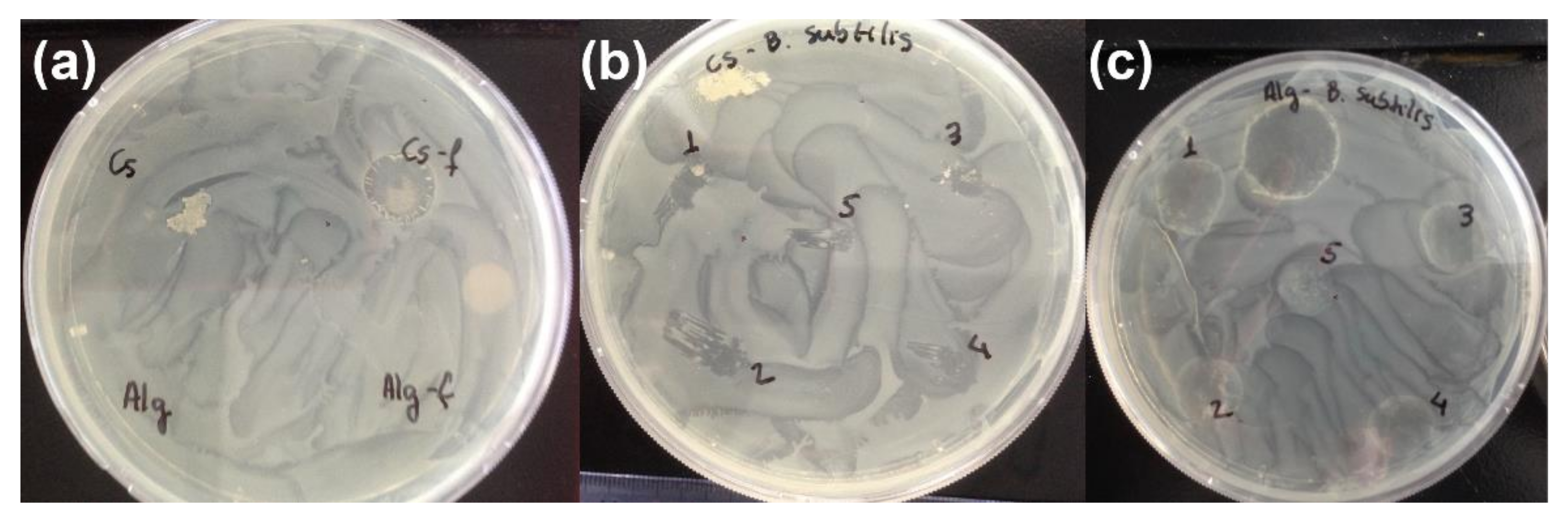 Materials 15 00681 g0a4