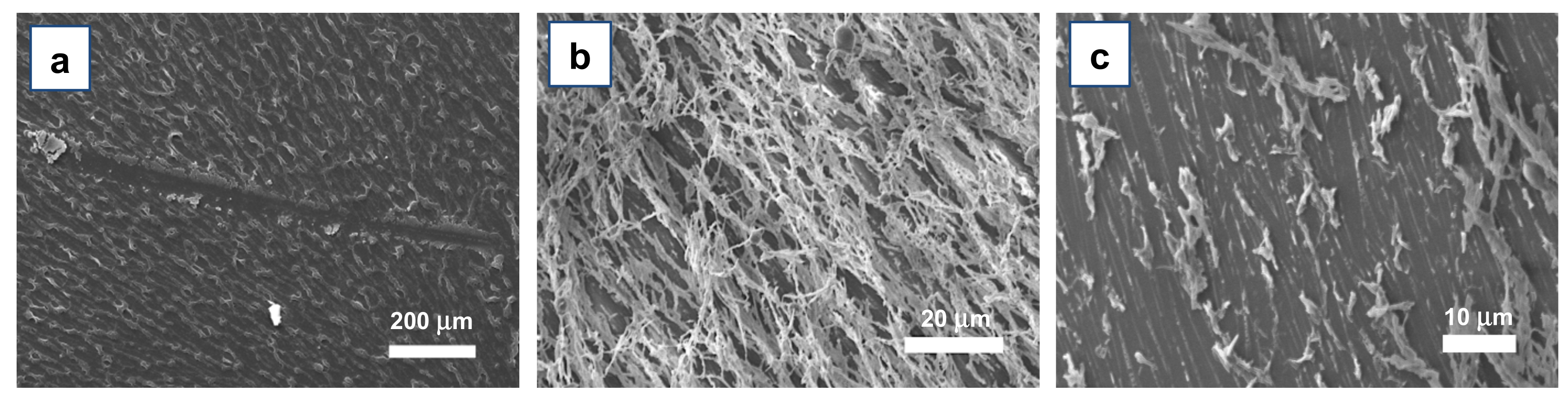 Materials 15 00687 g006 550