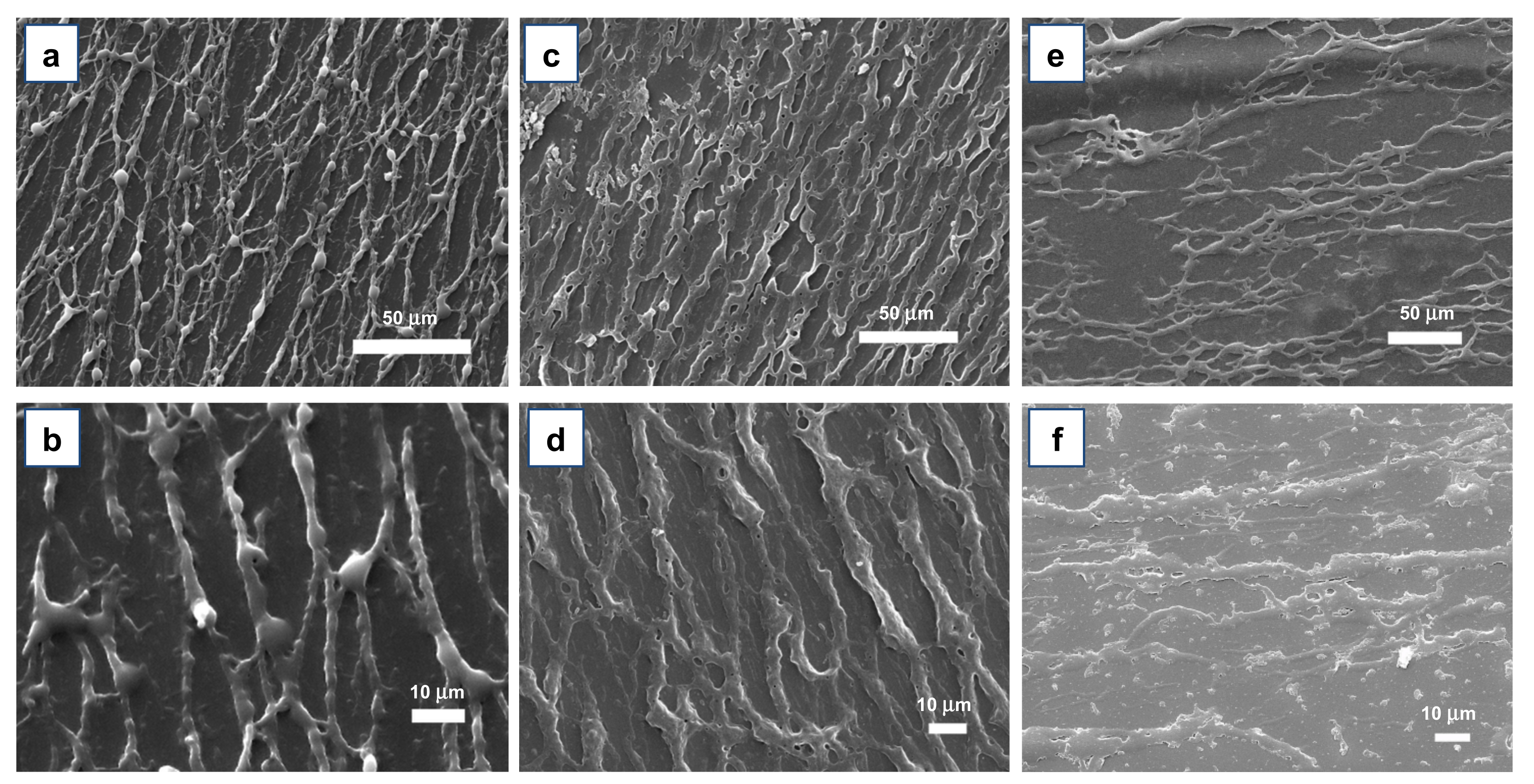 Materials 15 00687 g007 550