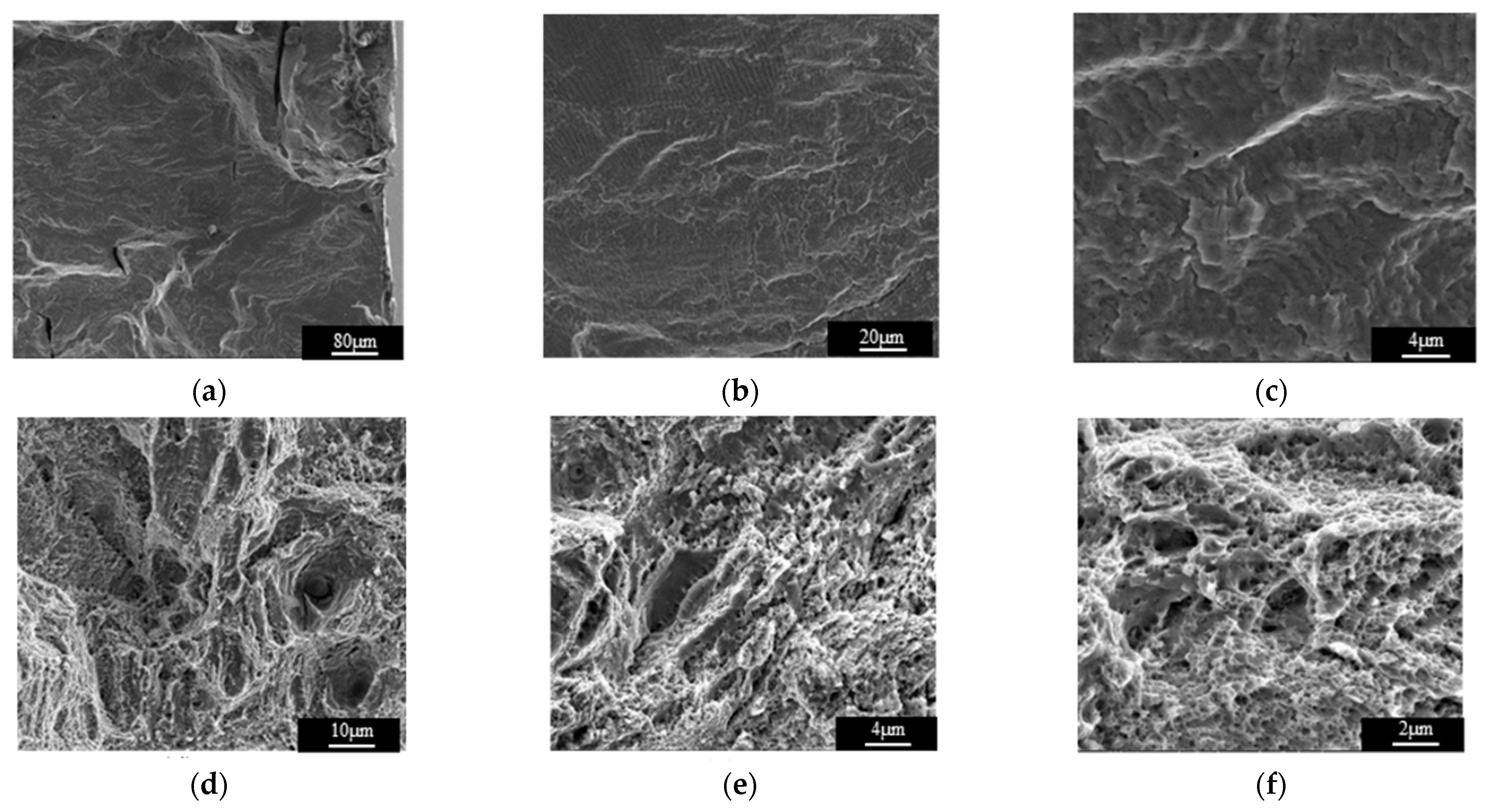 Materials 15 00718 g010