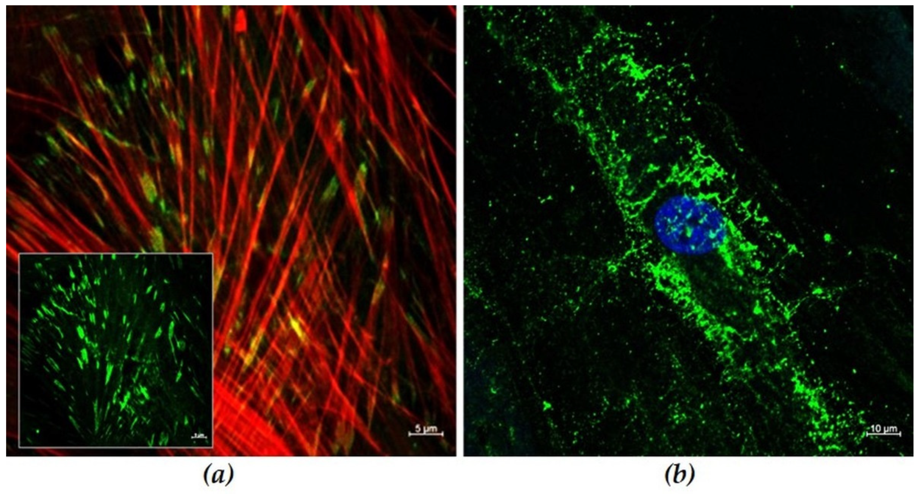 Materials 15 00732 g001 550