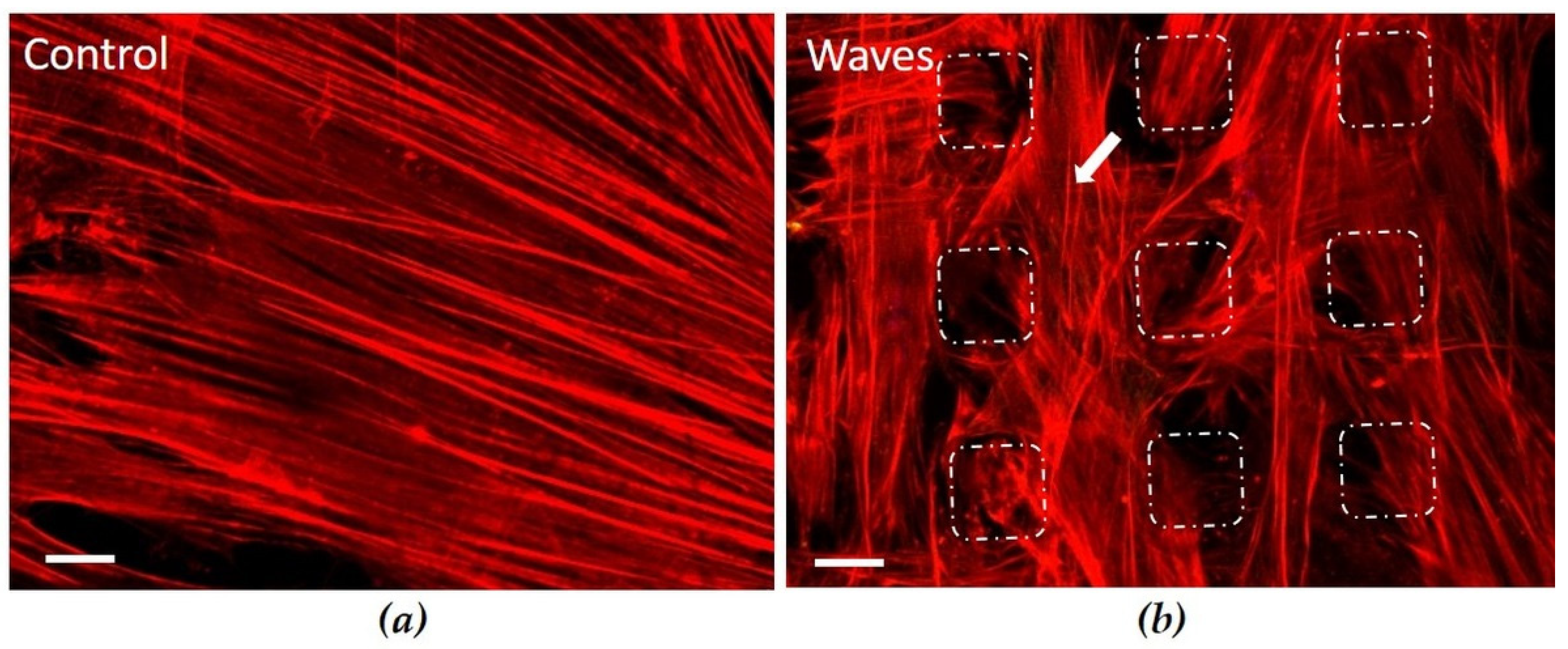 Materials 15 00732 g004 550