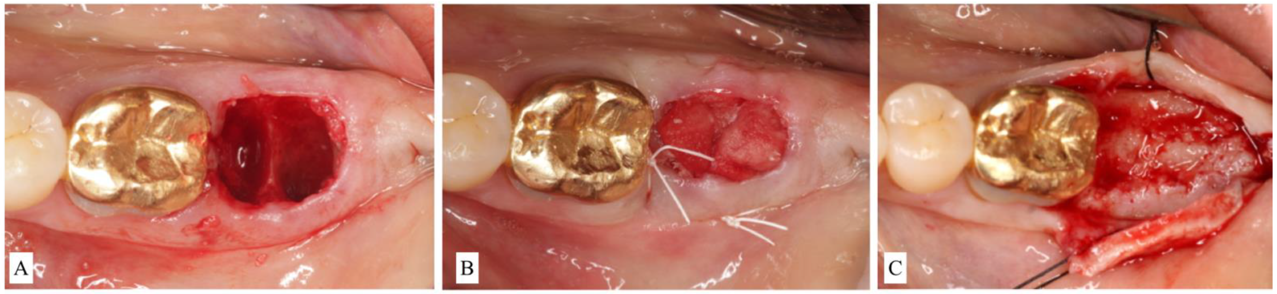 Materials 15 00733 g003 550