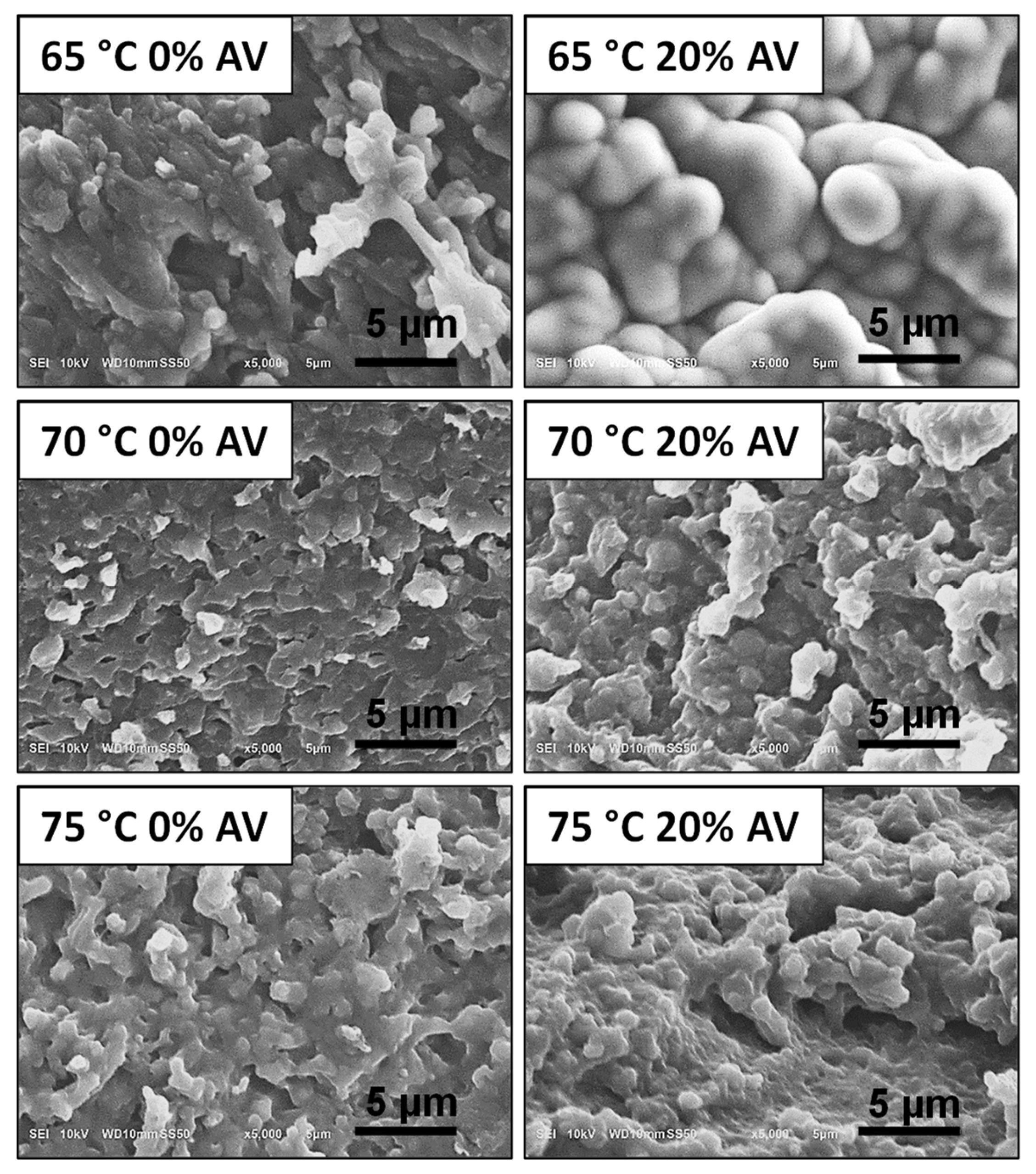 Materials 15 00748 g010