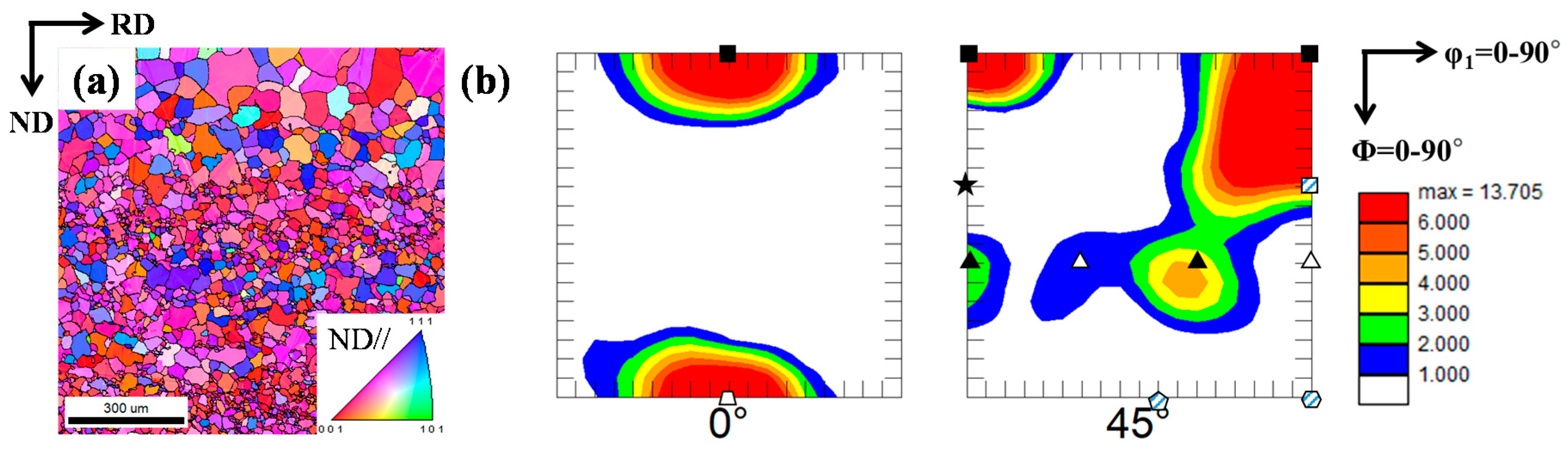 Microstructural and Texture Evolution in Pure Niobium during