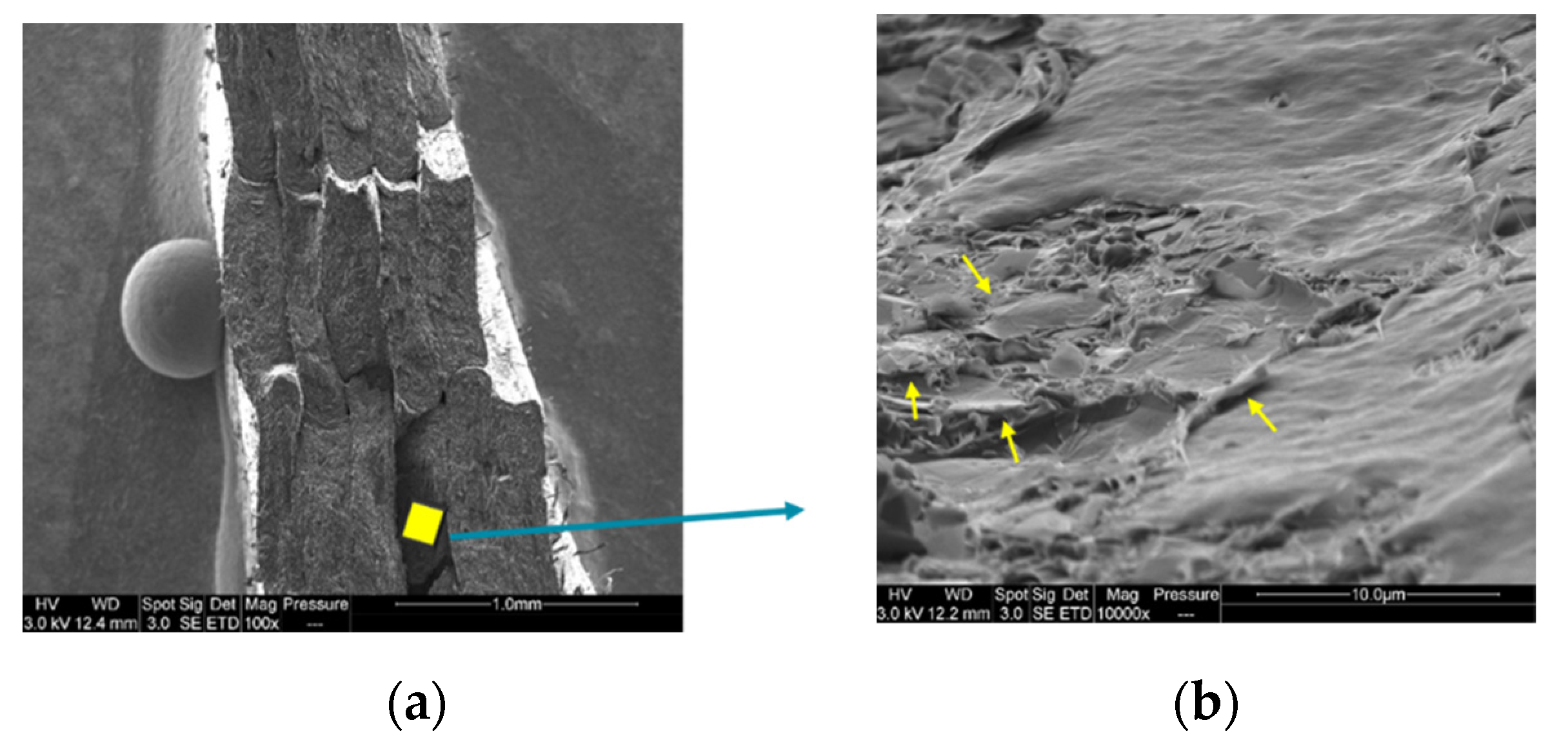 Materials 15 00762 g010a