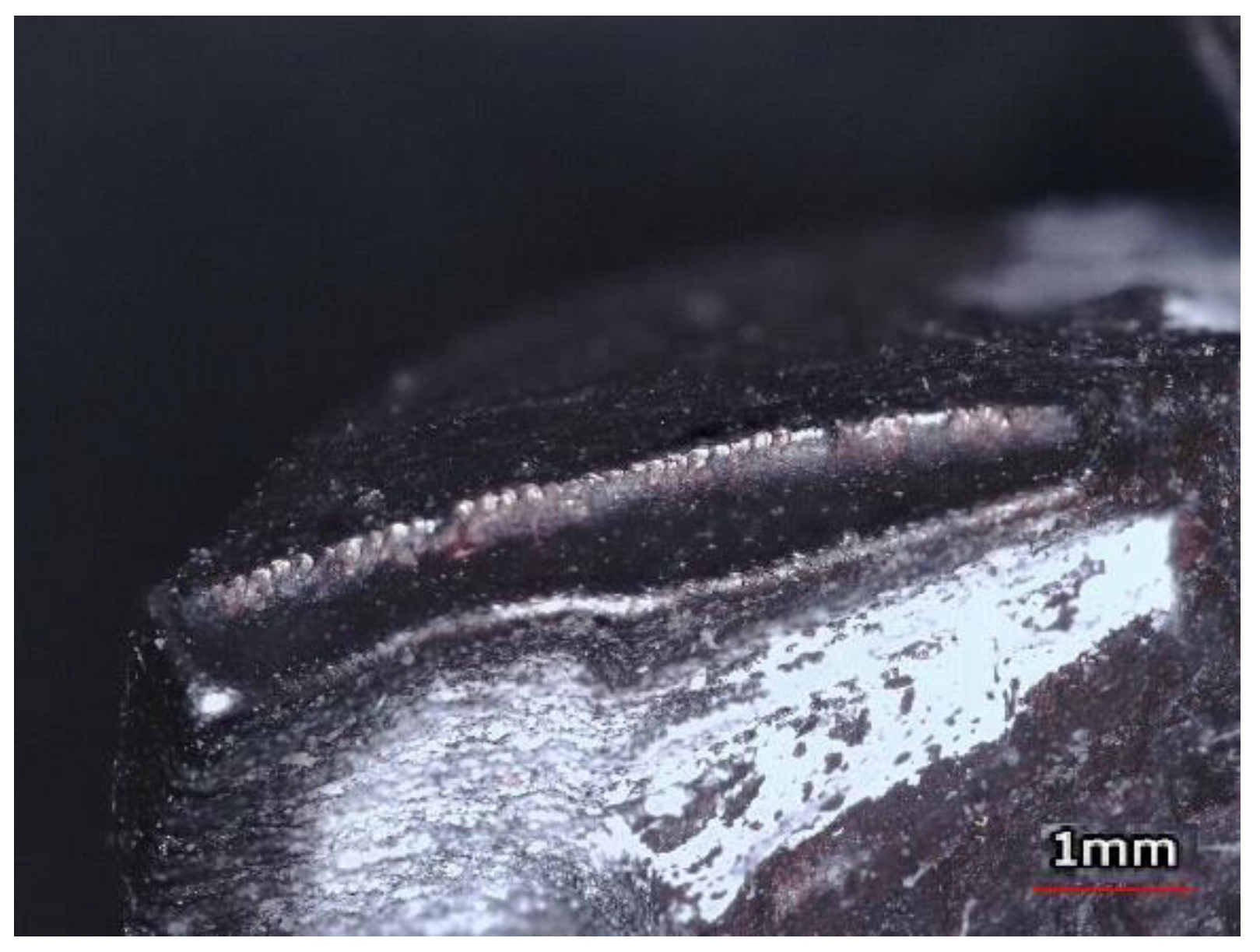 Materials 15 00773 g010 Materials 15 00773 g010