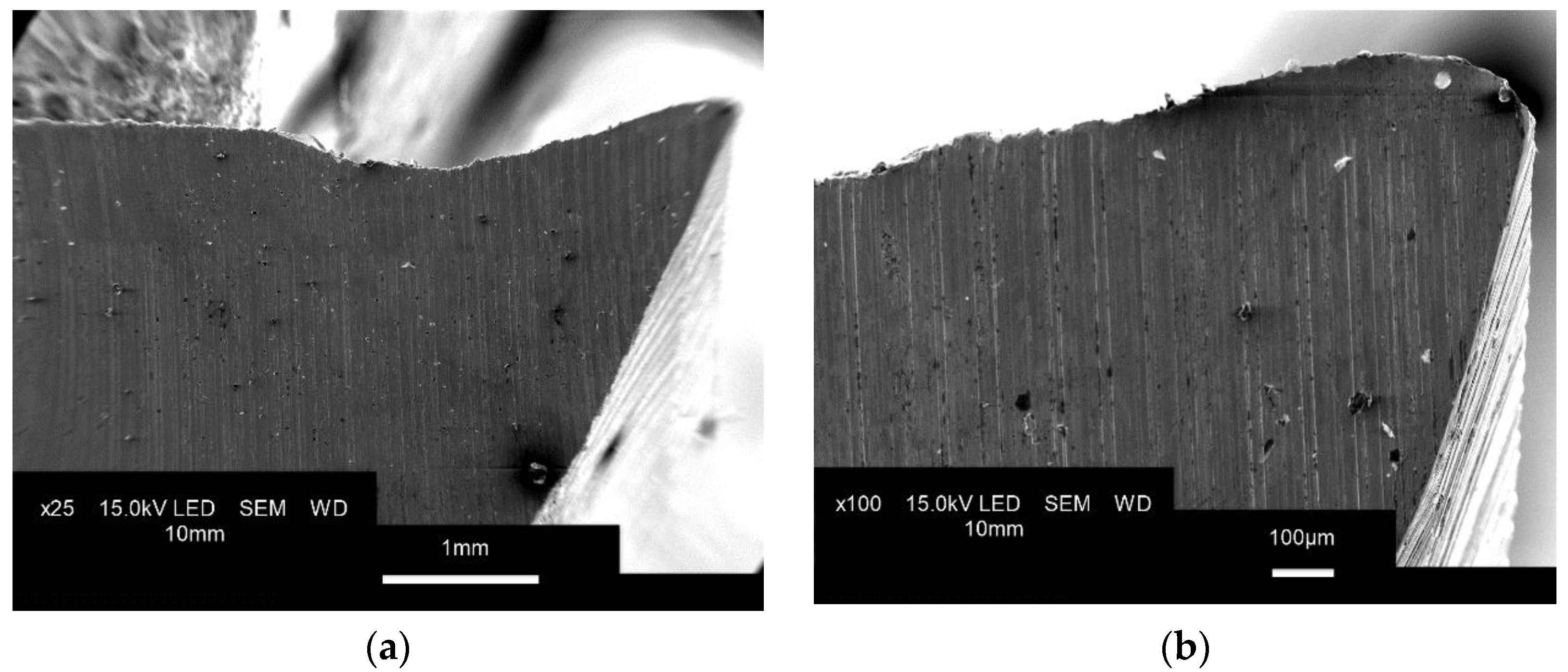 Materials 15 00773 g015a Materials 15 00773 g015a