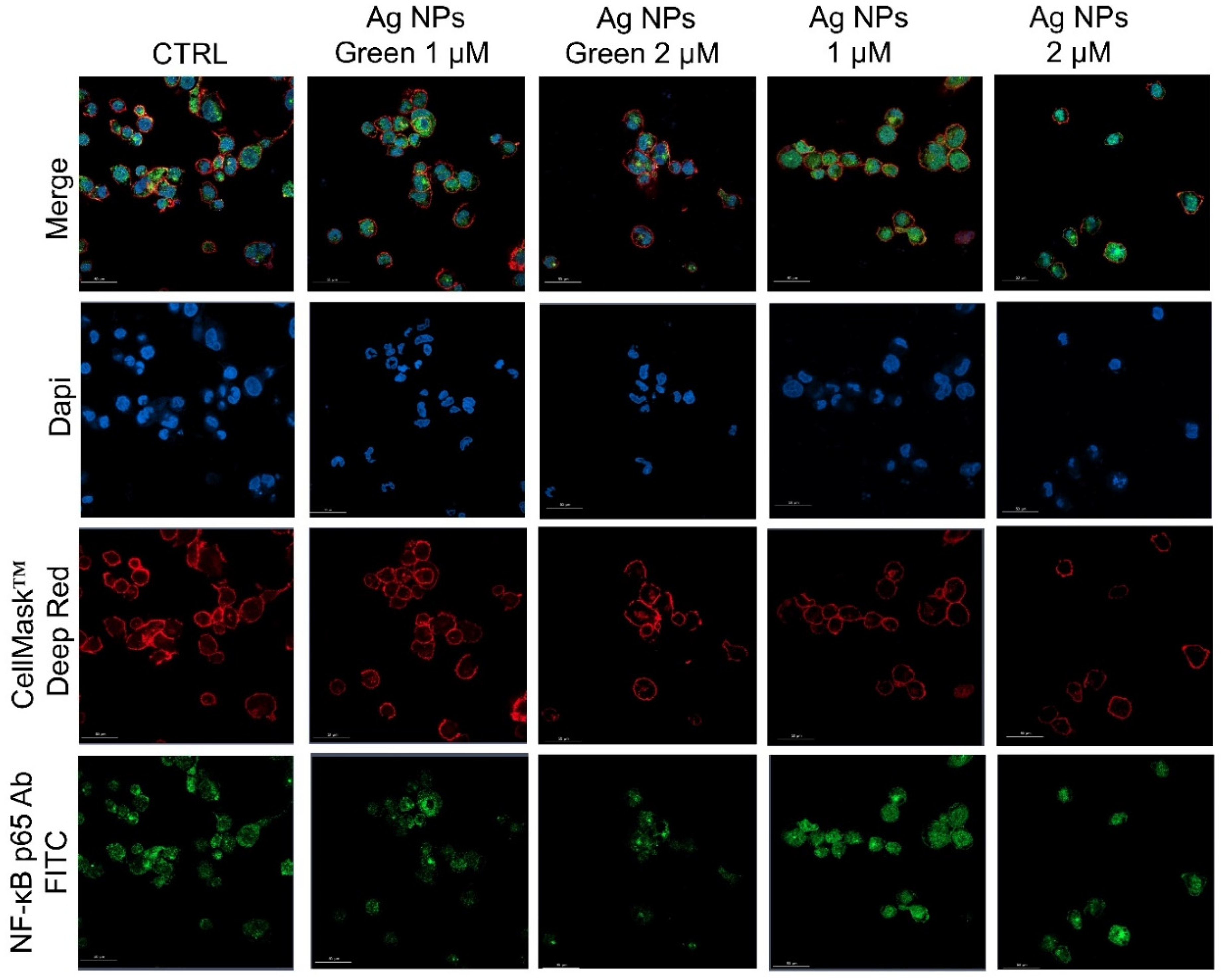 Materials 15 00775 g005 550