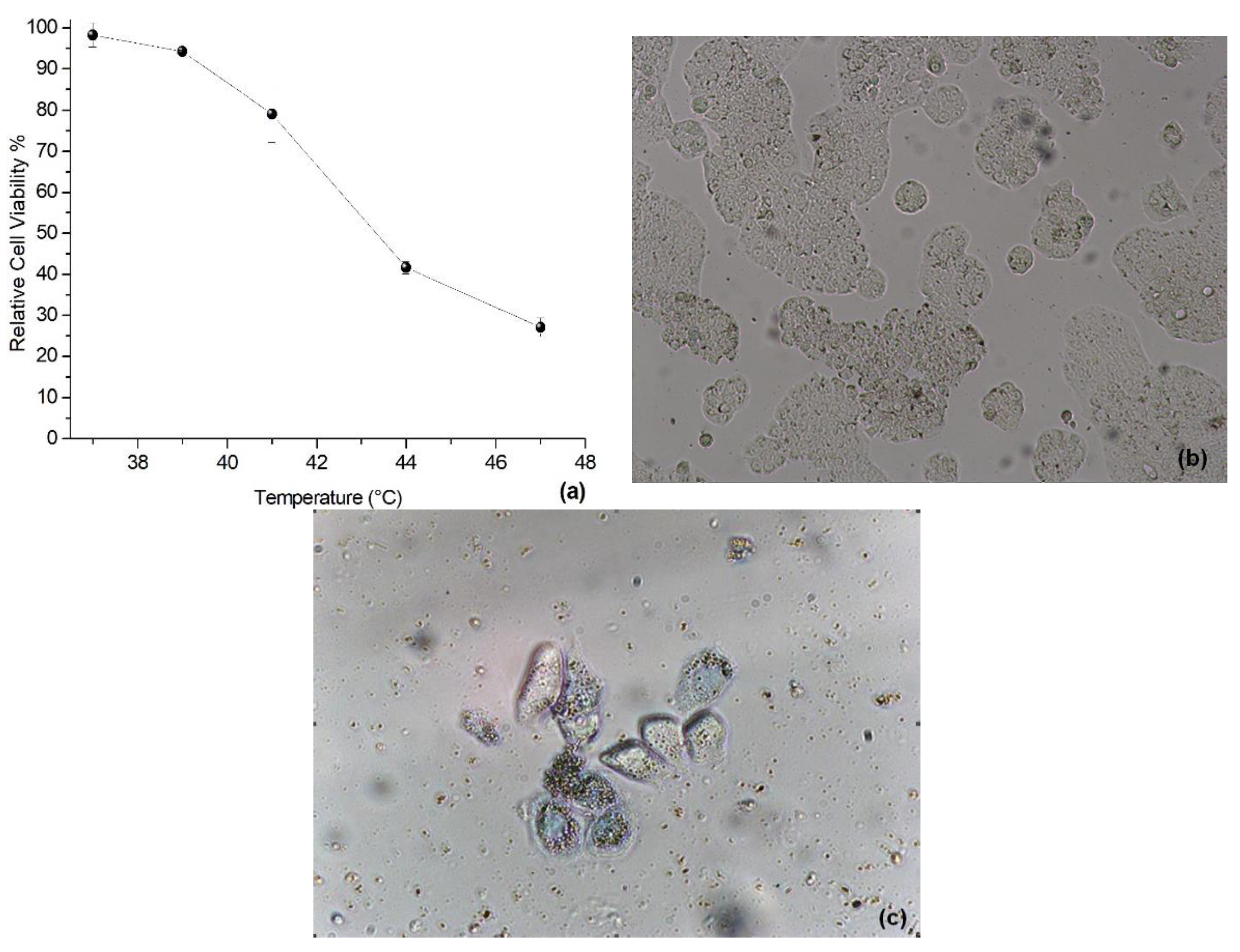 Materials 15 00788 g009 550