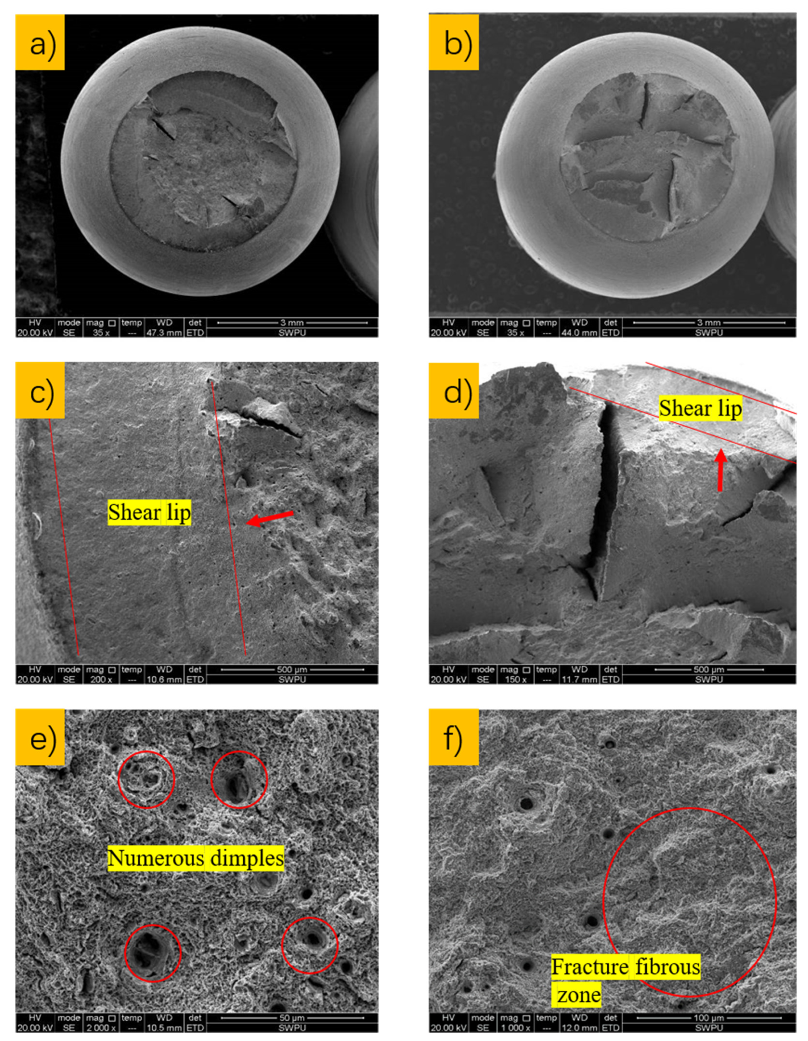 Materials 15 00801 g017 550
