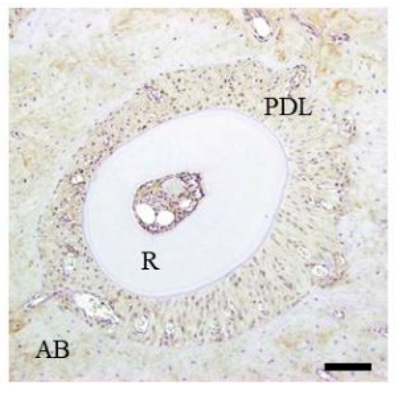 Materials 15 00809 g001 Materials 15 00809 g001