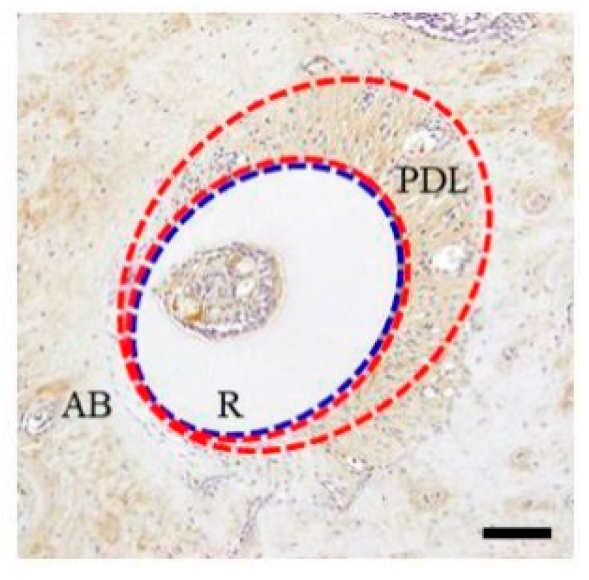 Materials 15 00809 g002 Materials 15 00809 g002