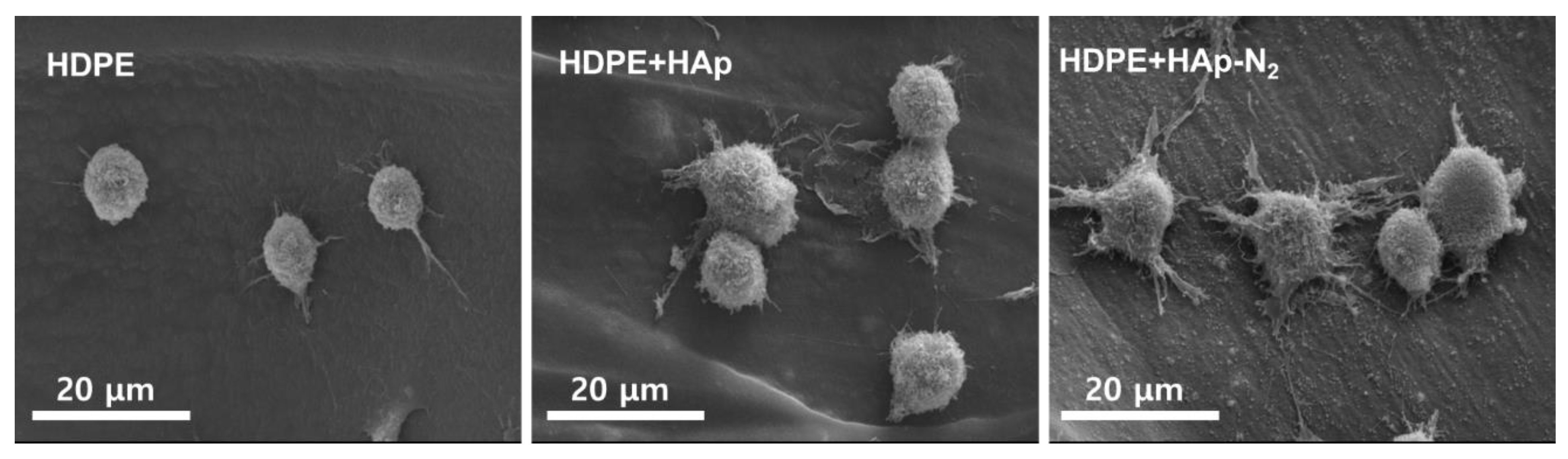 Materials 15 00827 g006 Materials 15 00827 g006