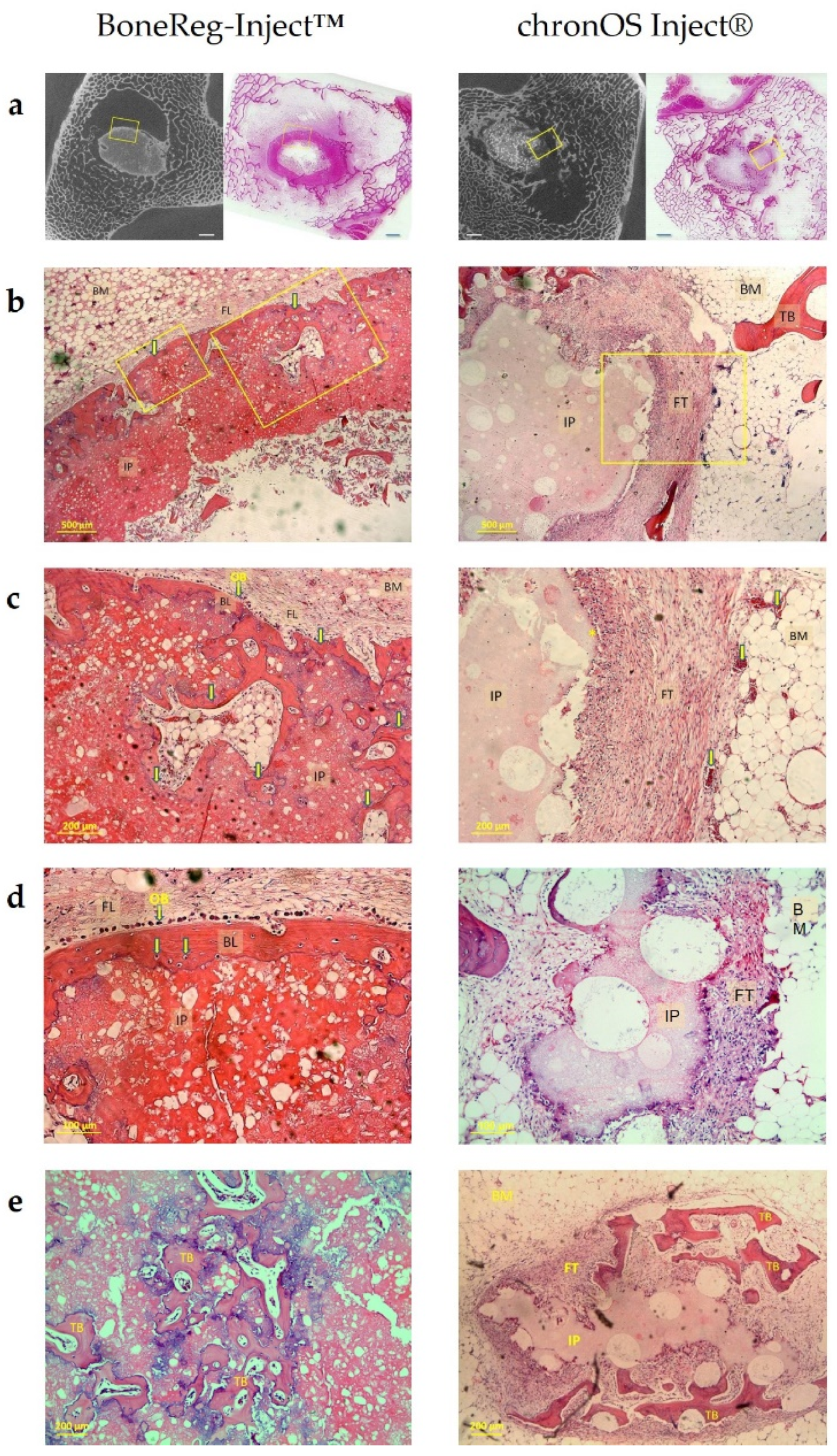 Materials 15 00838 g005 550