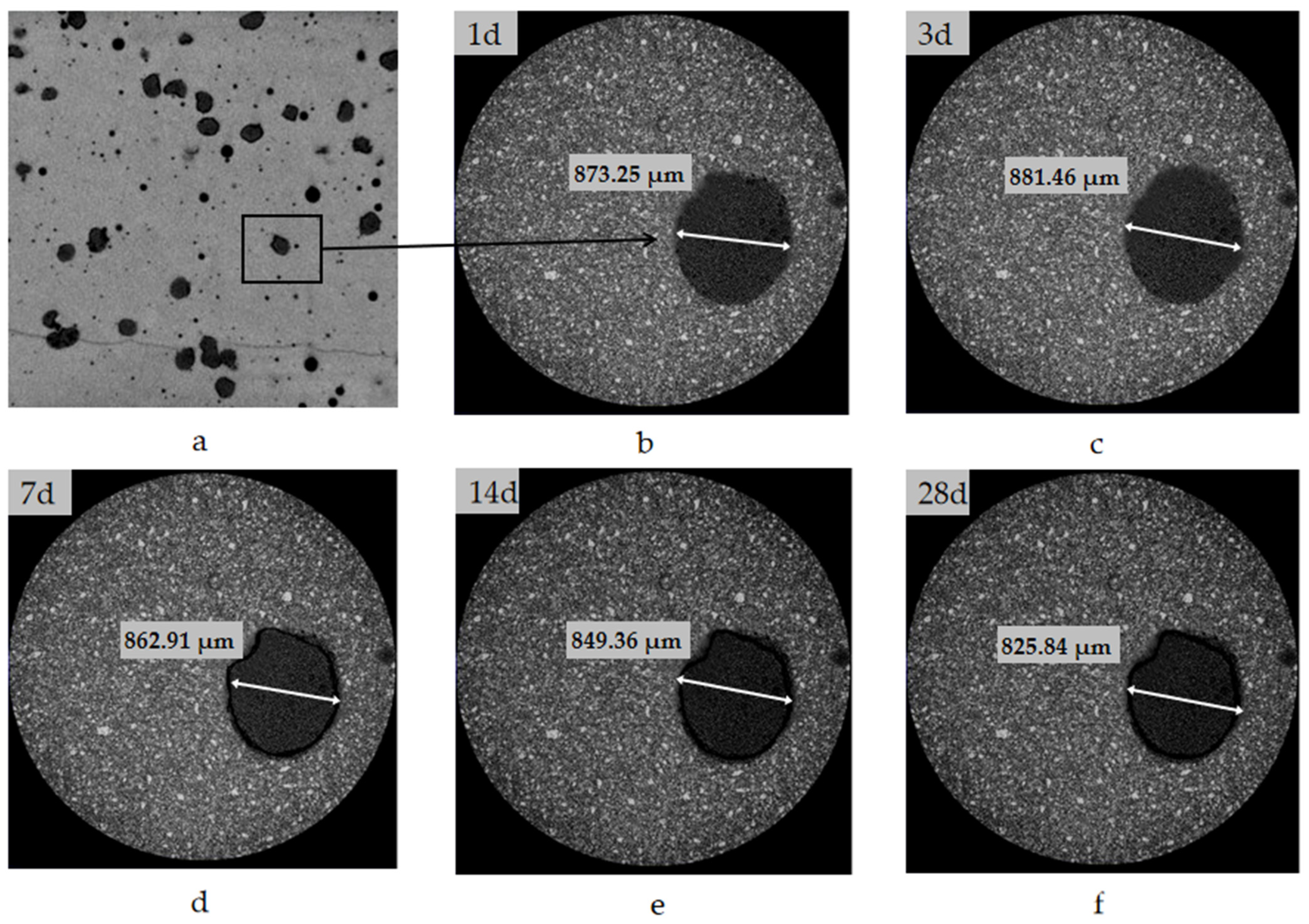 Materials 15 00847 g002