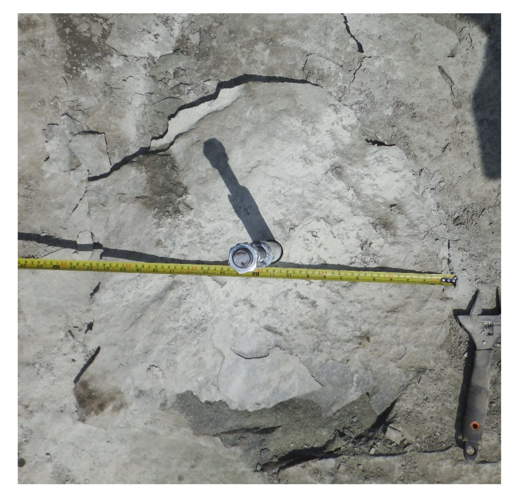 Materials 15 00851 g010 550