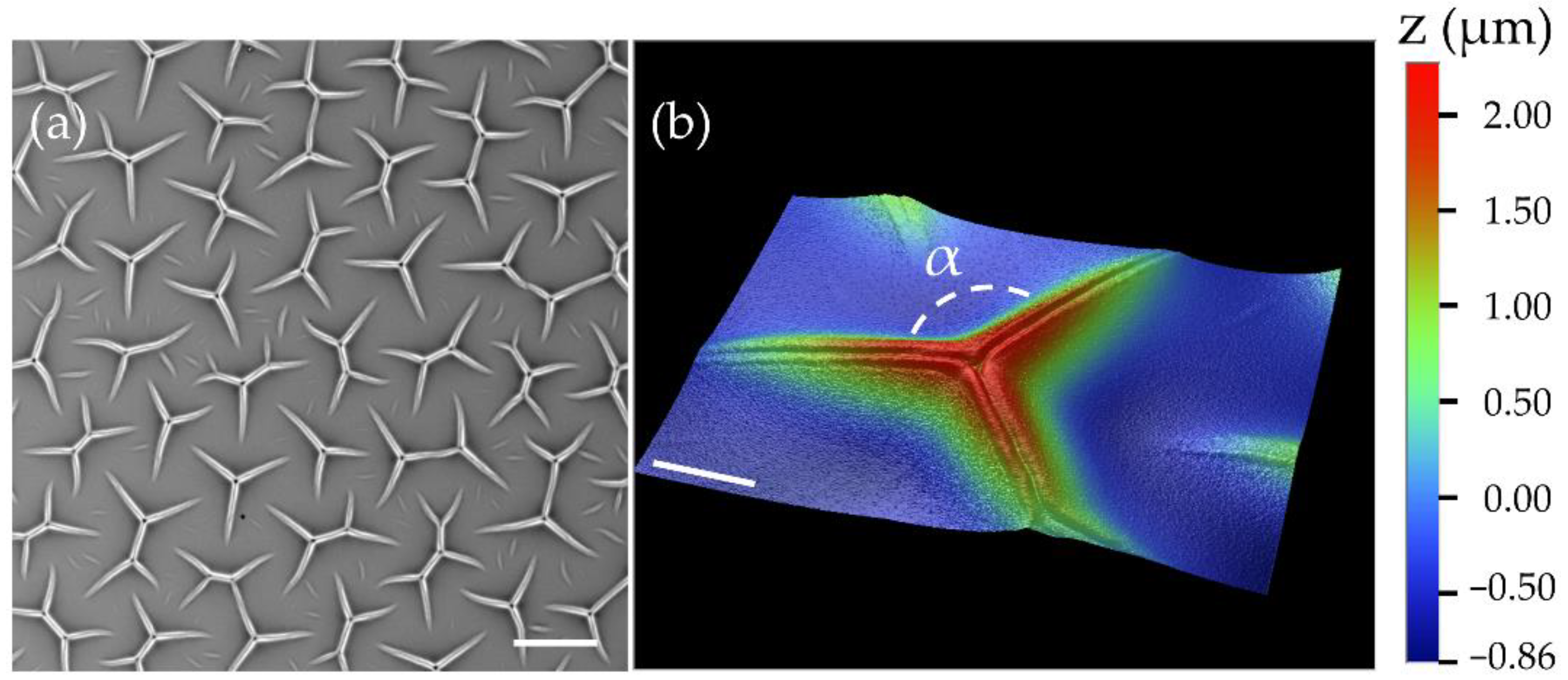 Materials 15 00852 g001 Materials 15 00852 g001
