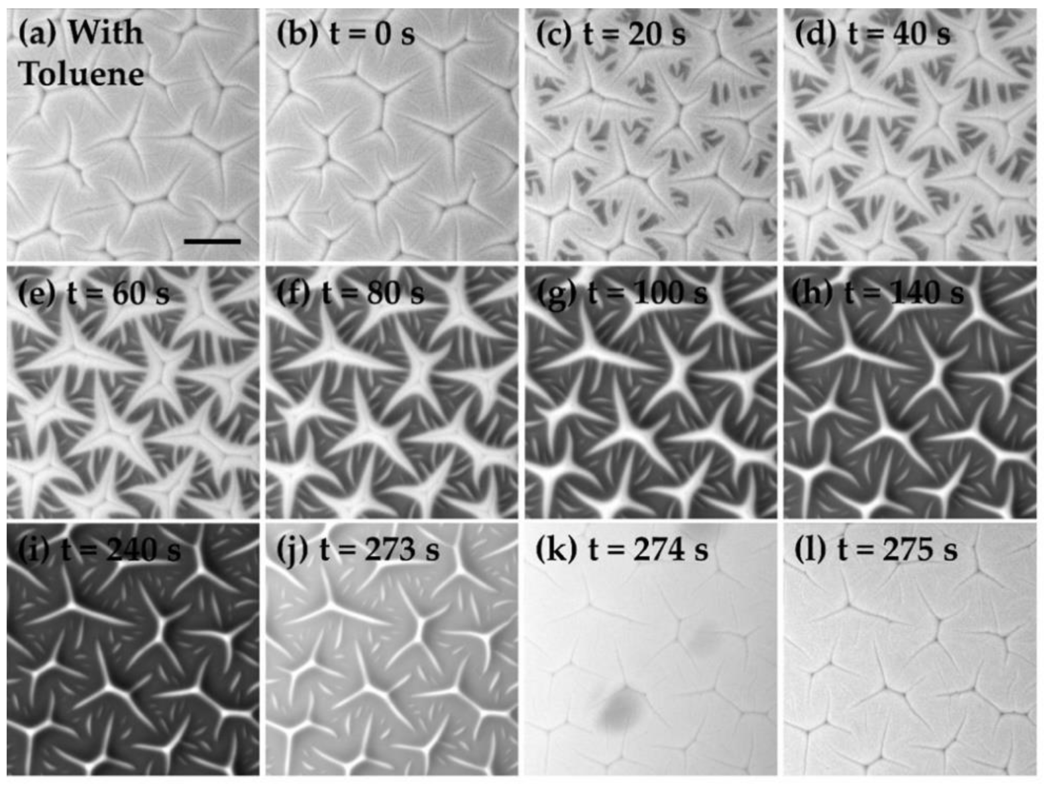 Materials 15 00852 g003 Materials 15 00852 g003