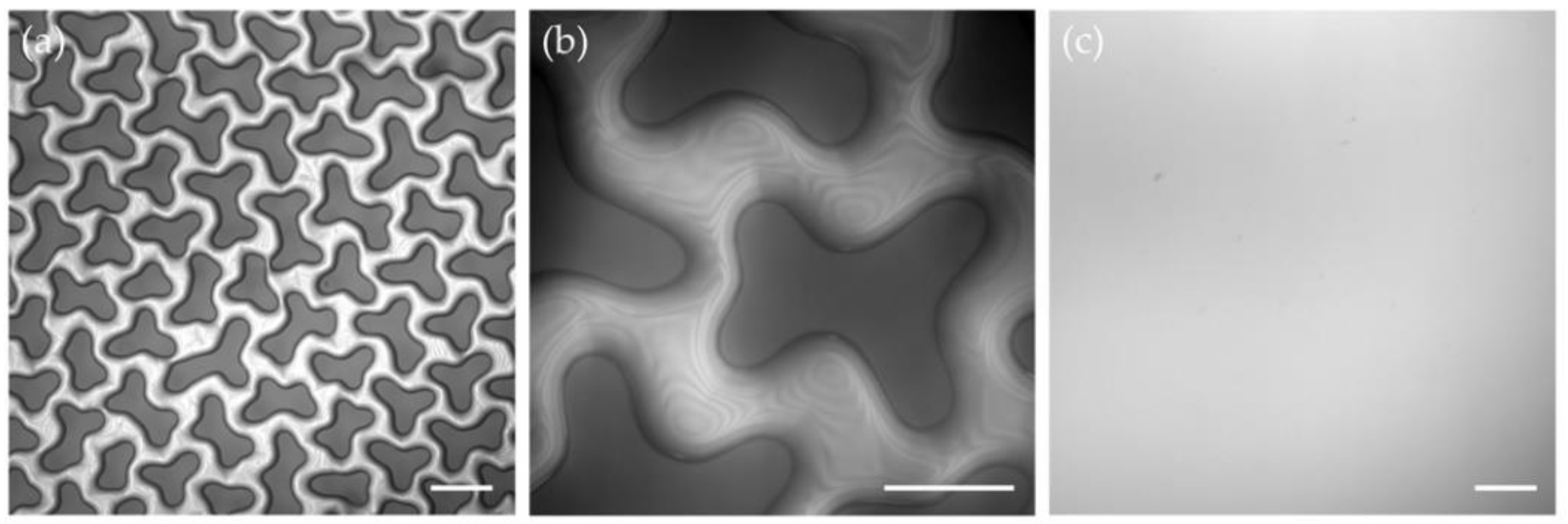 Materials 15 00852 g006 Materials 15 00852 g006