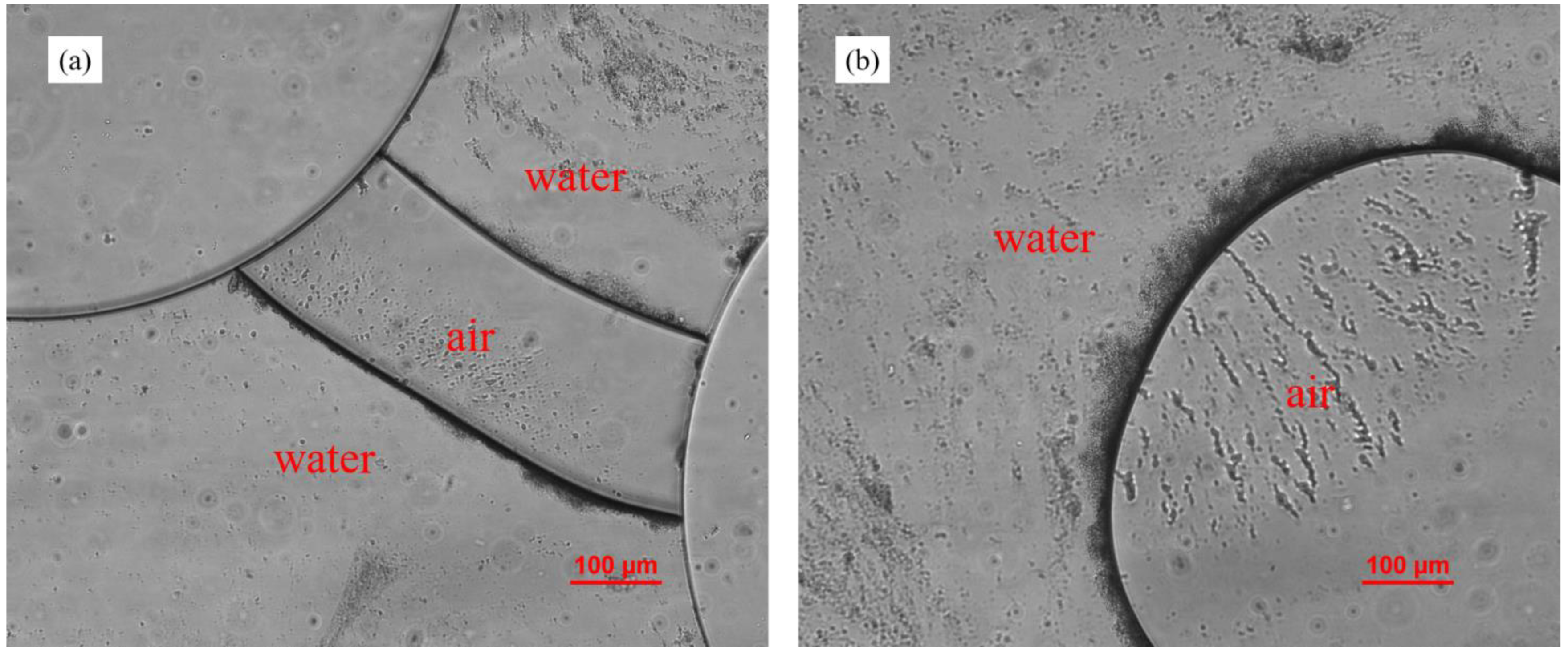 Materials 15 00855 g009 Materials 15 00855 g009