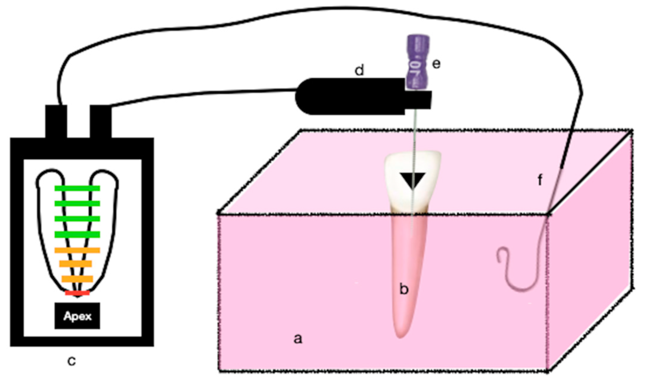 Effect of Sodium Hypochlorite Concentration on Electronic