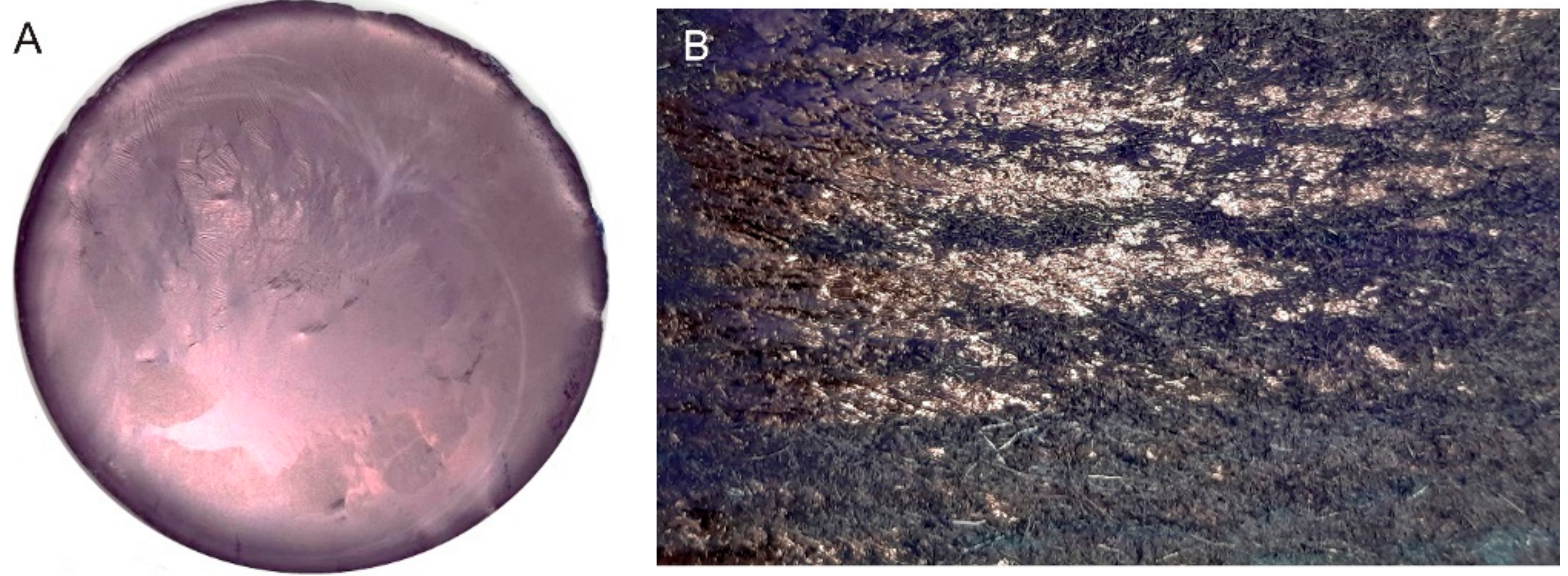 Materials 15 00883 g003 Materials 15 00883 g003