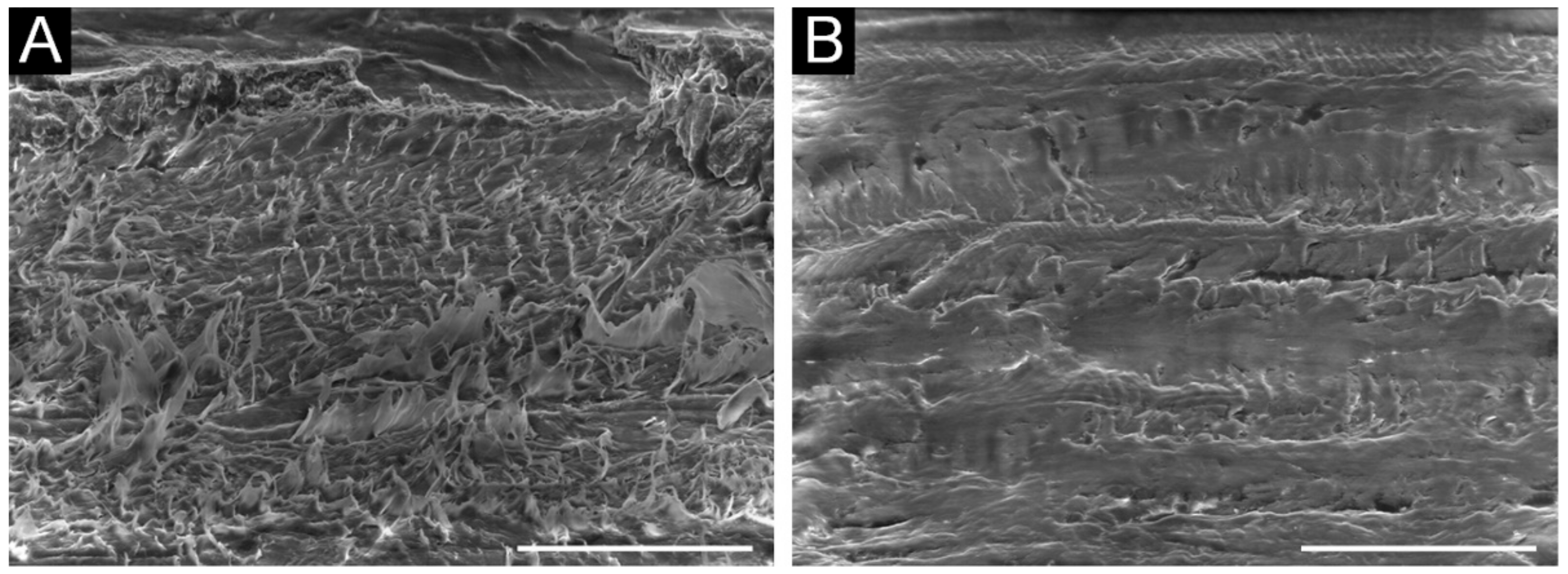 Materials 15 00883 g005 Materials 15 00883 g005