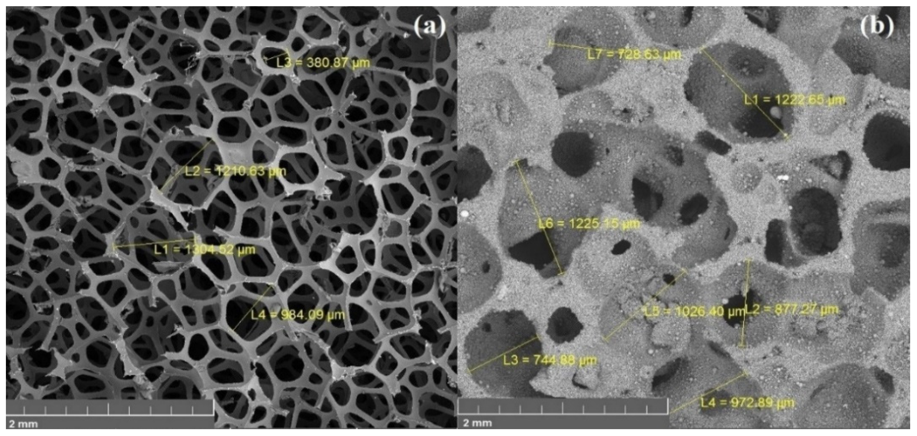 Materials 15 00931 g006