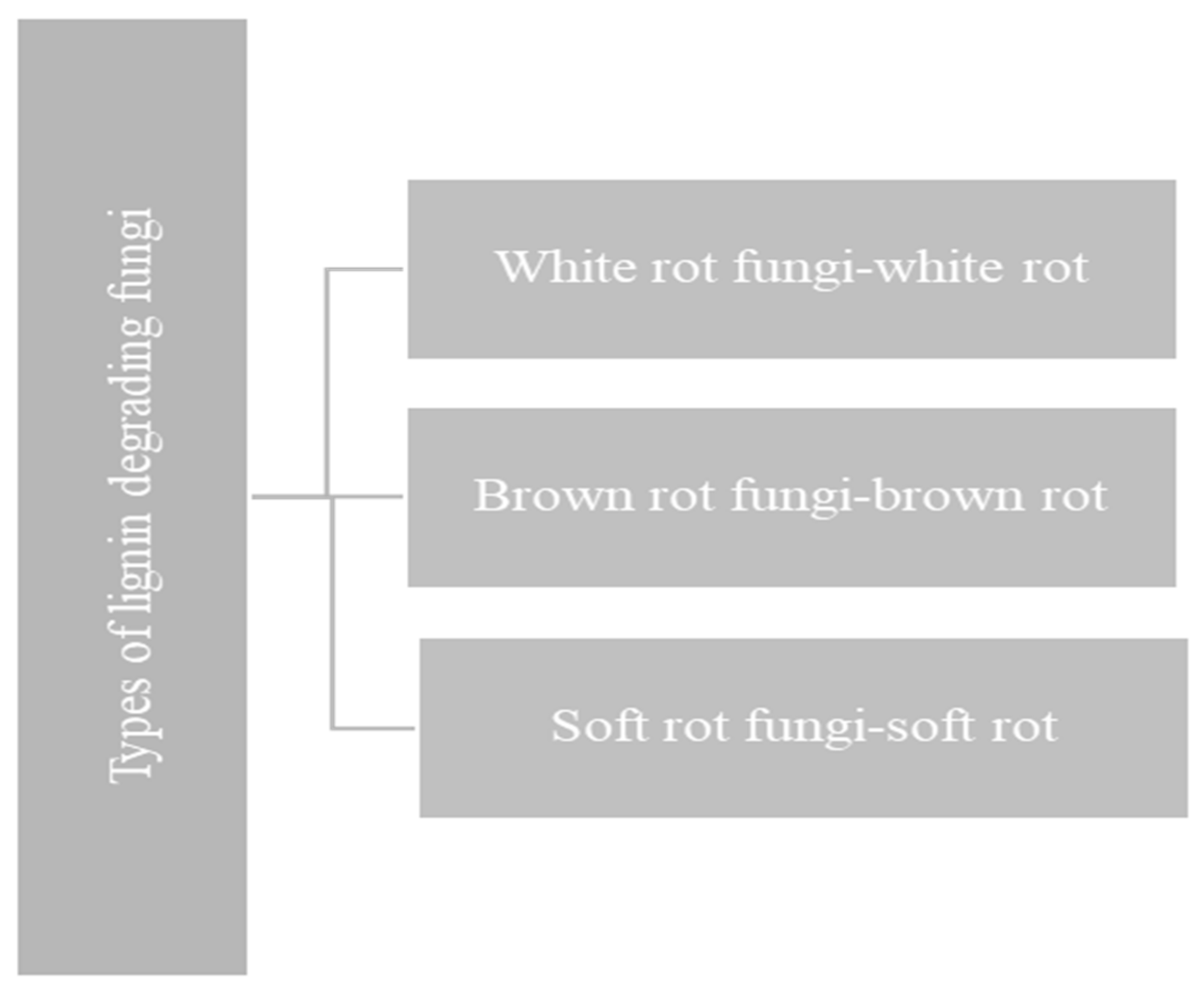 Materials 15 00953 g006 Materials 15 00953 g006