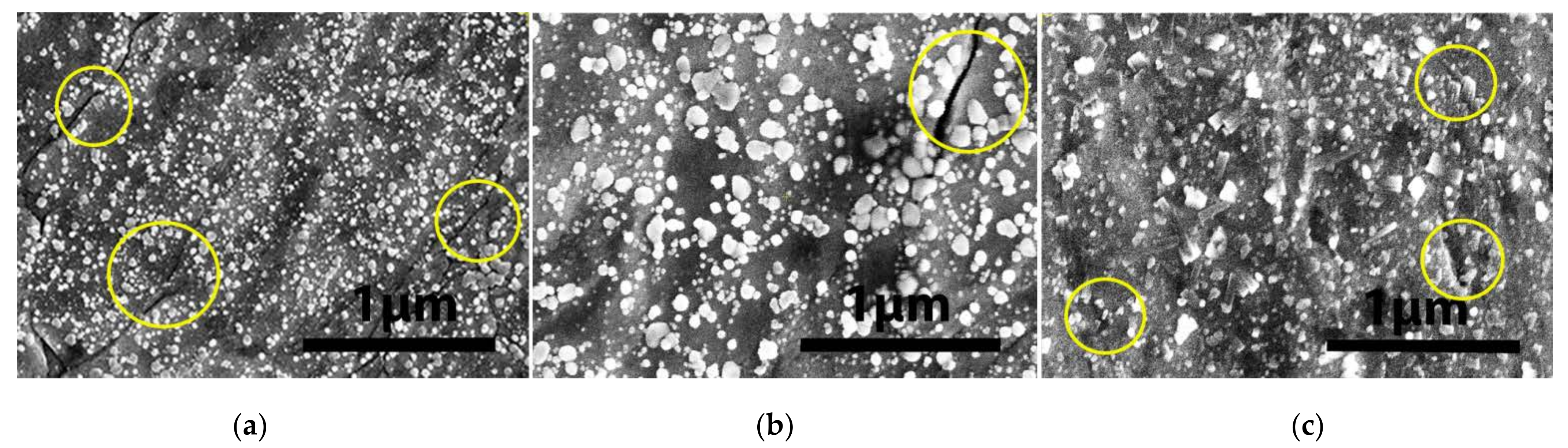 Materials 15 00956 g007