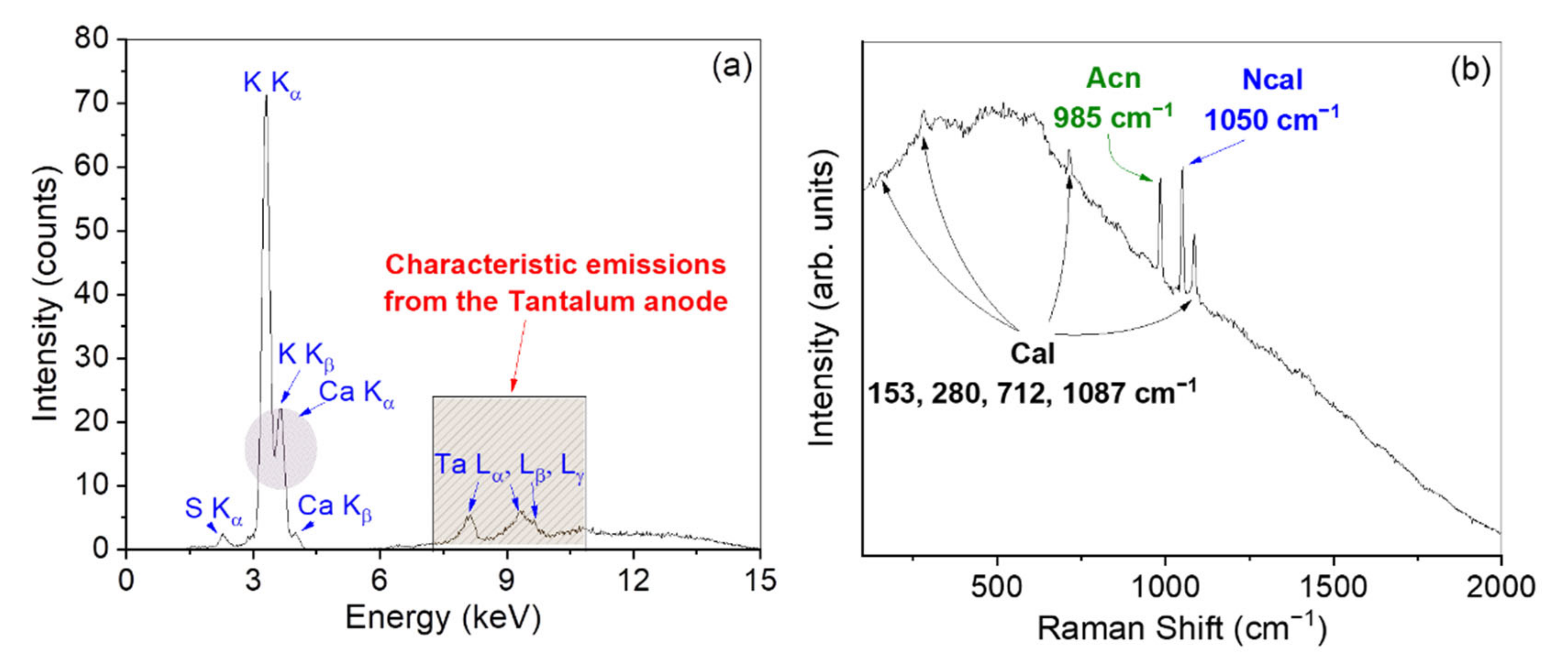 Materials 15 00958 g009