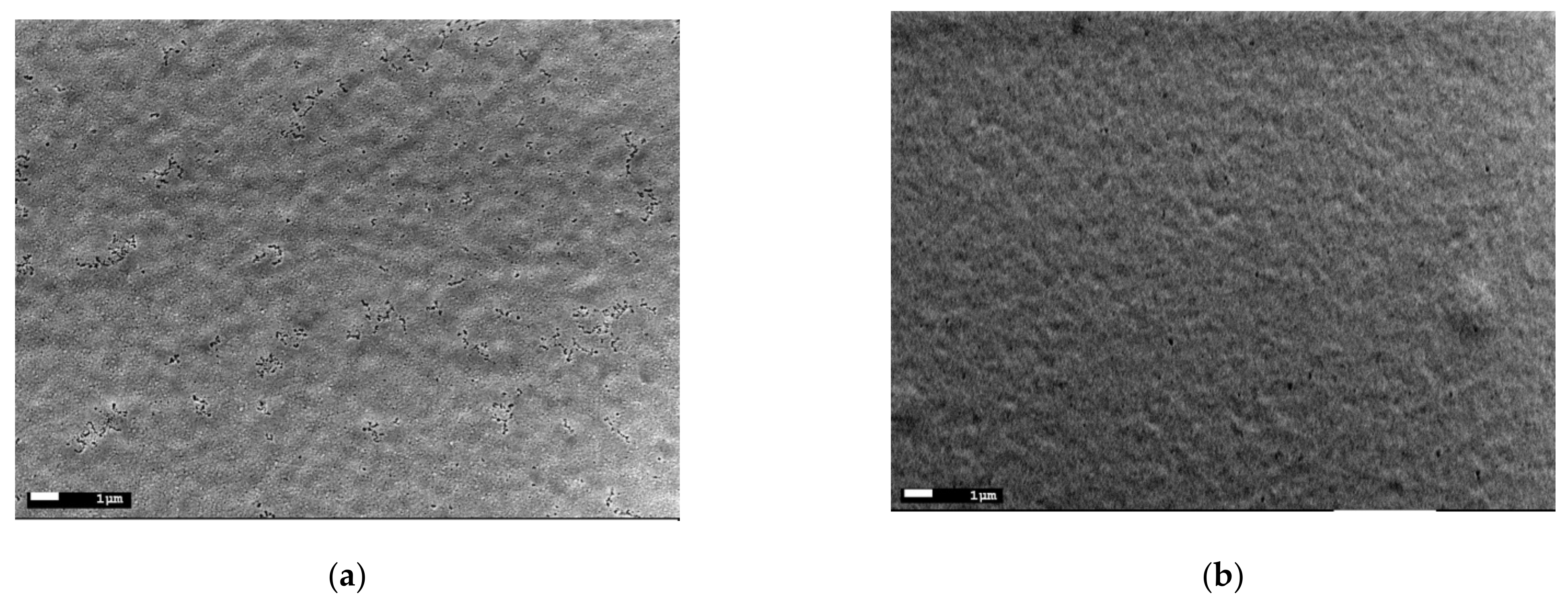 Materials 15 00961 g005a