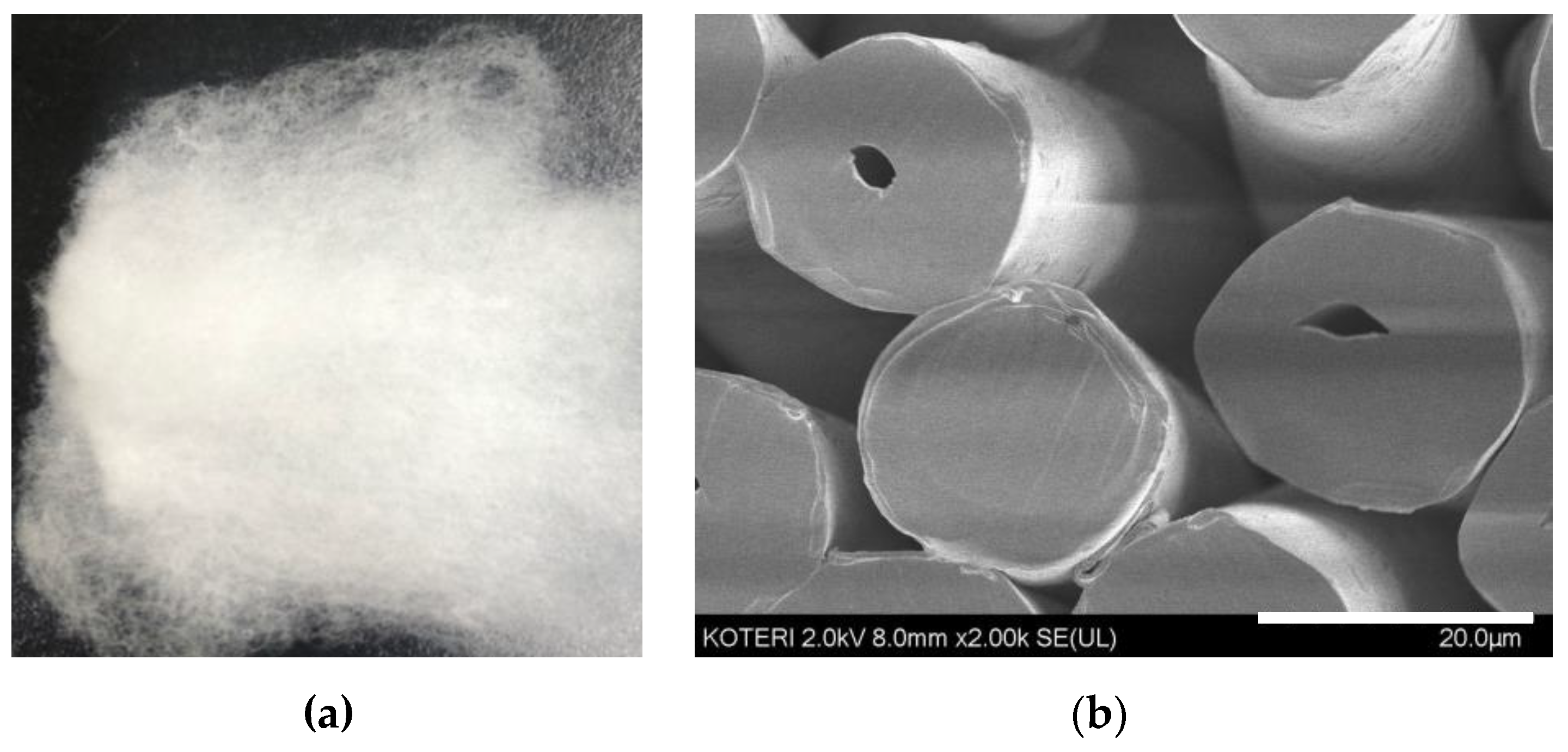 Materials 15 00966 g003 Materials 15 00966 g003