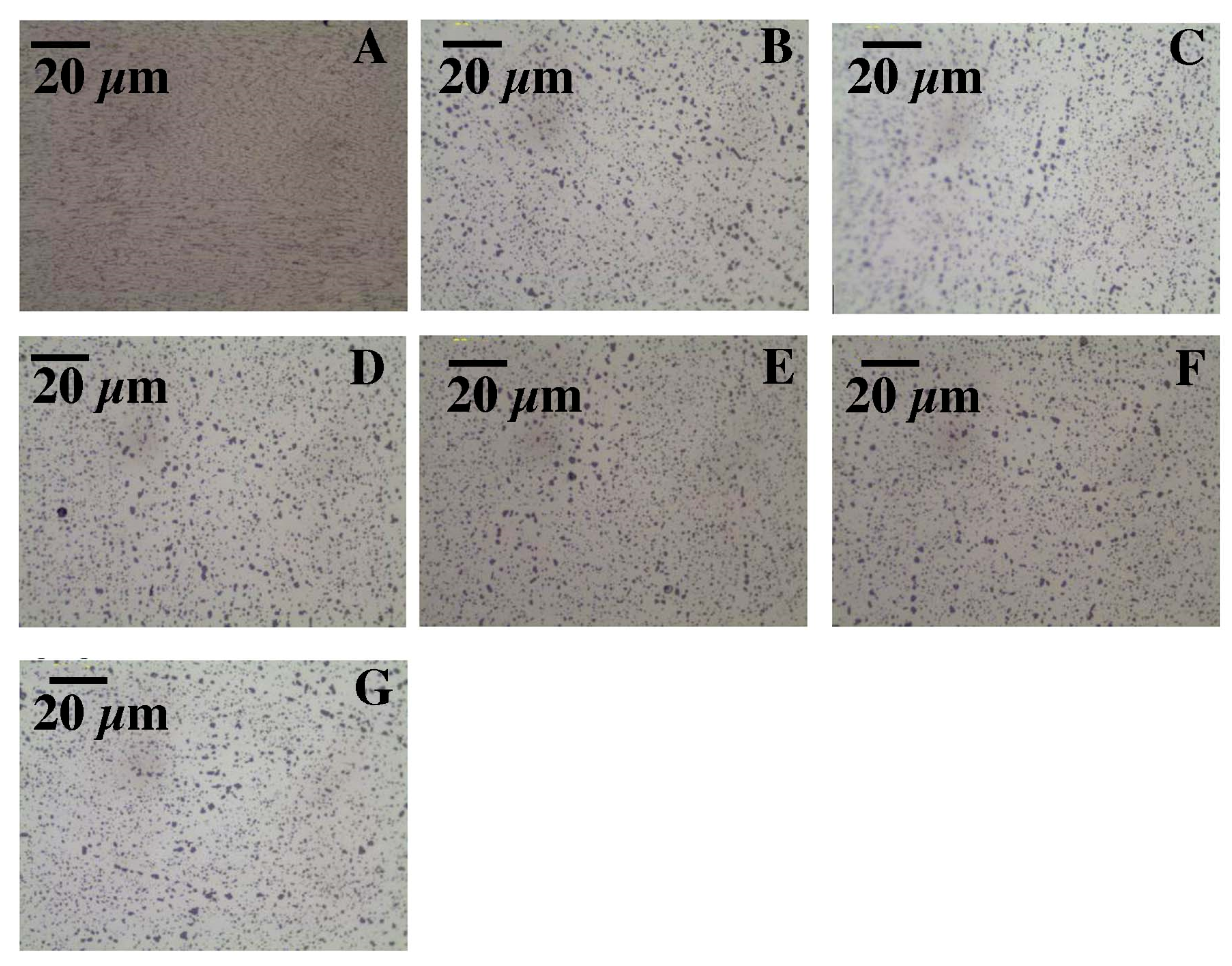Materials 15 00974 g012