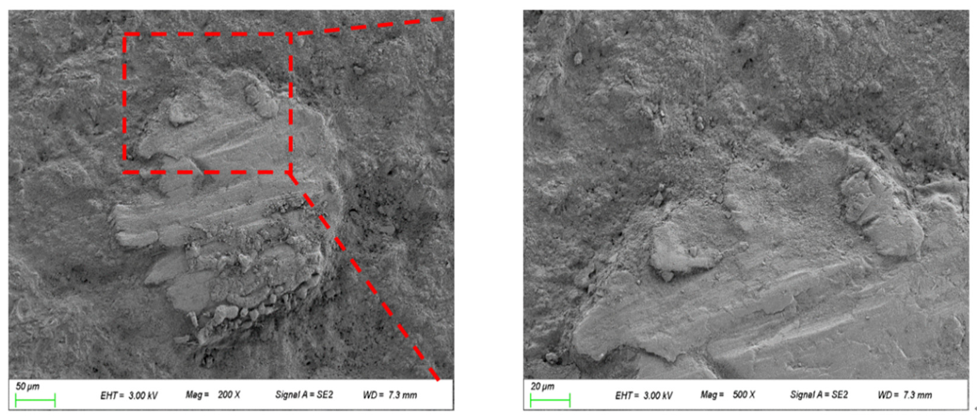 Materials 15 00978 g010 Materials 15 00978 g010