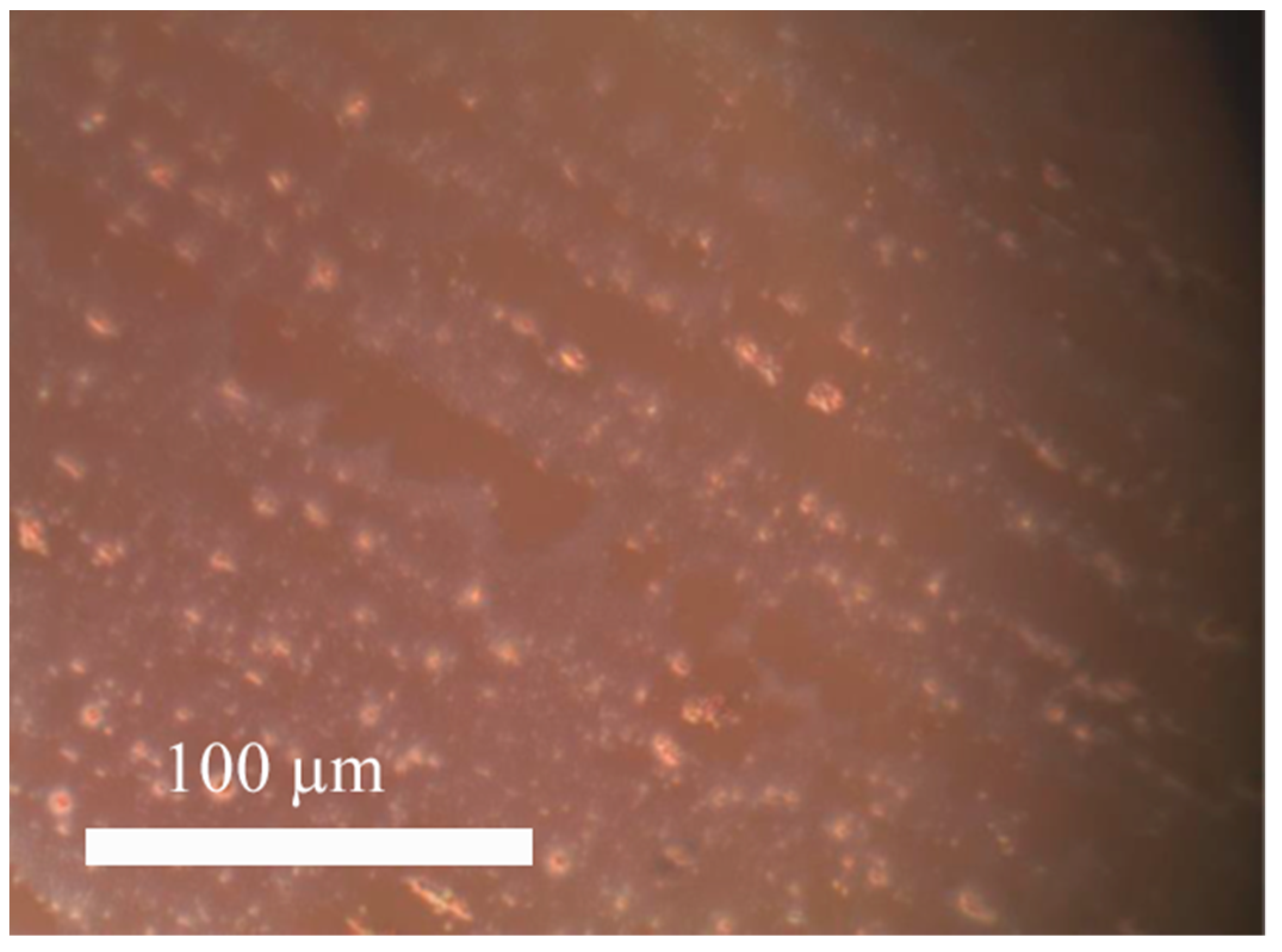 Materials 15 00990 g005