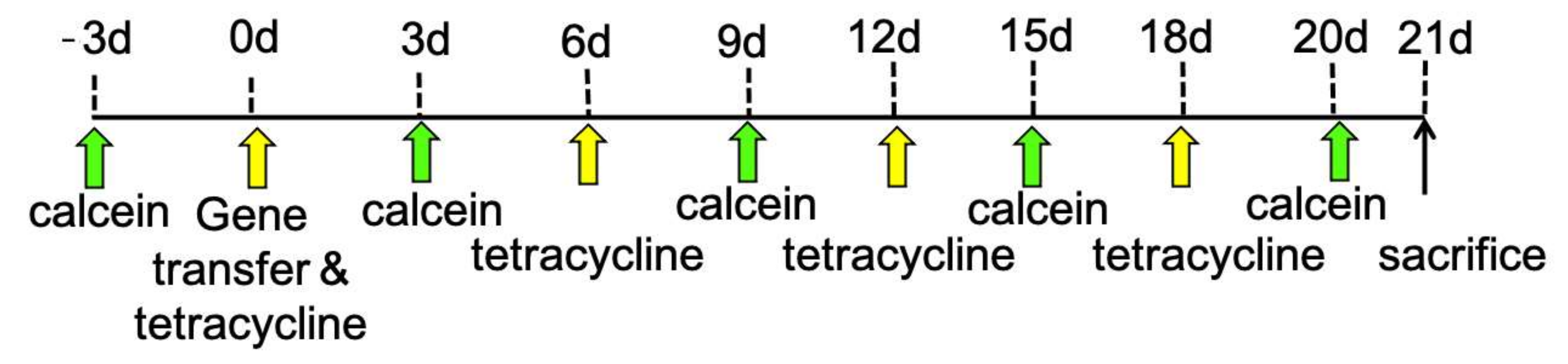Materials 15 00993 g001 Materials 15 00993 g001