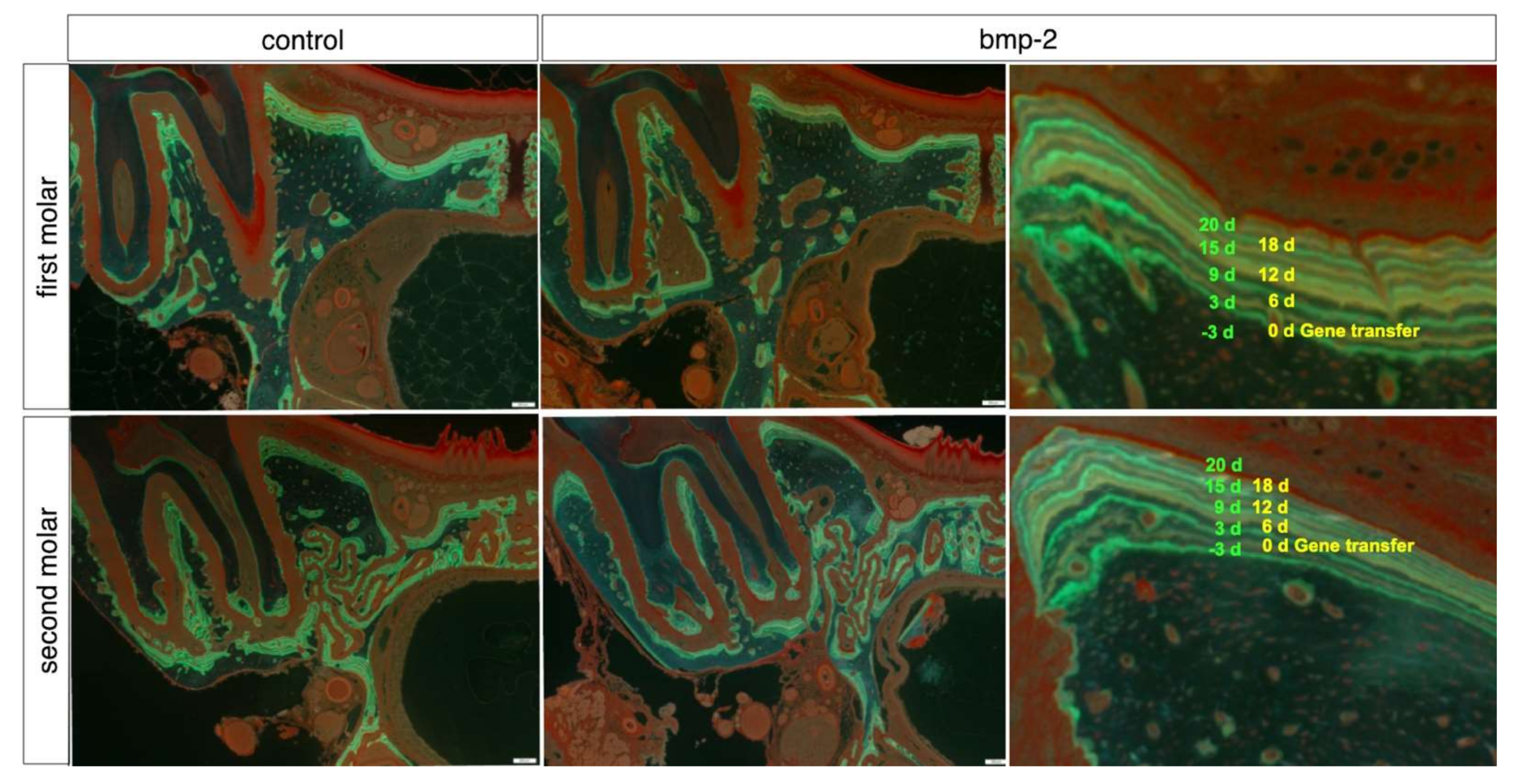 Materials 15 00993 g002 Materials 15 00993 g002