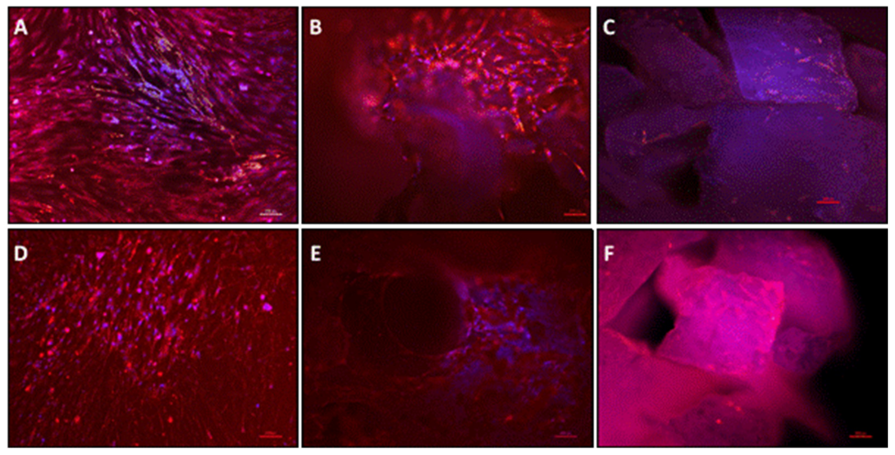 Materials 15 00999 g004 550