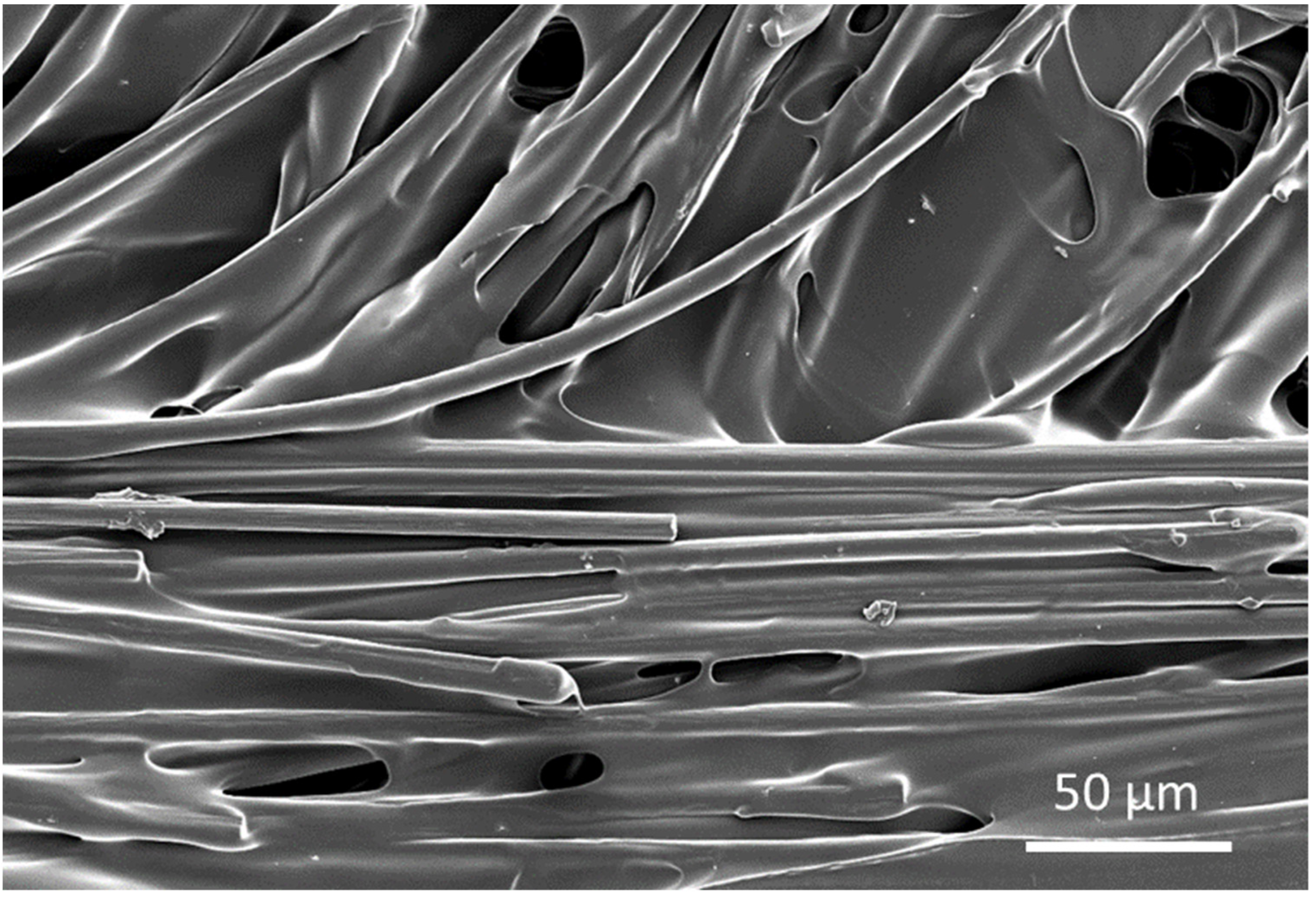 Materials 15 01002 g010 550