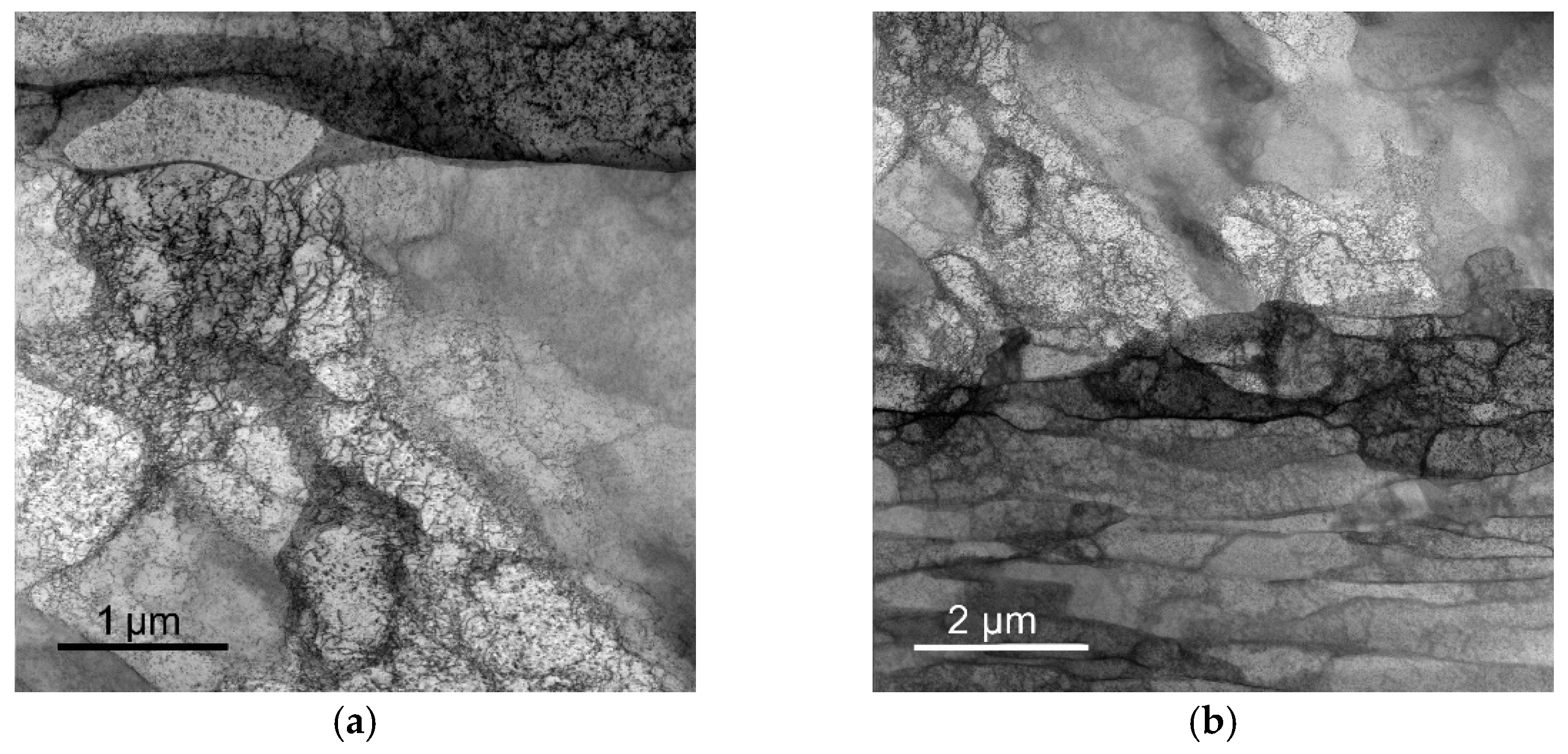 Materials 15 01003 g005a 550